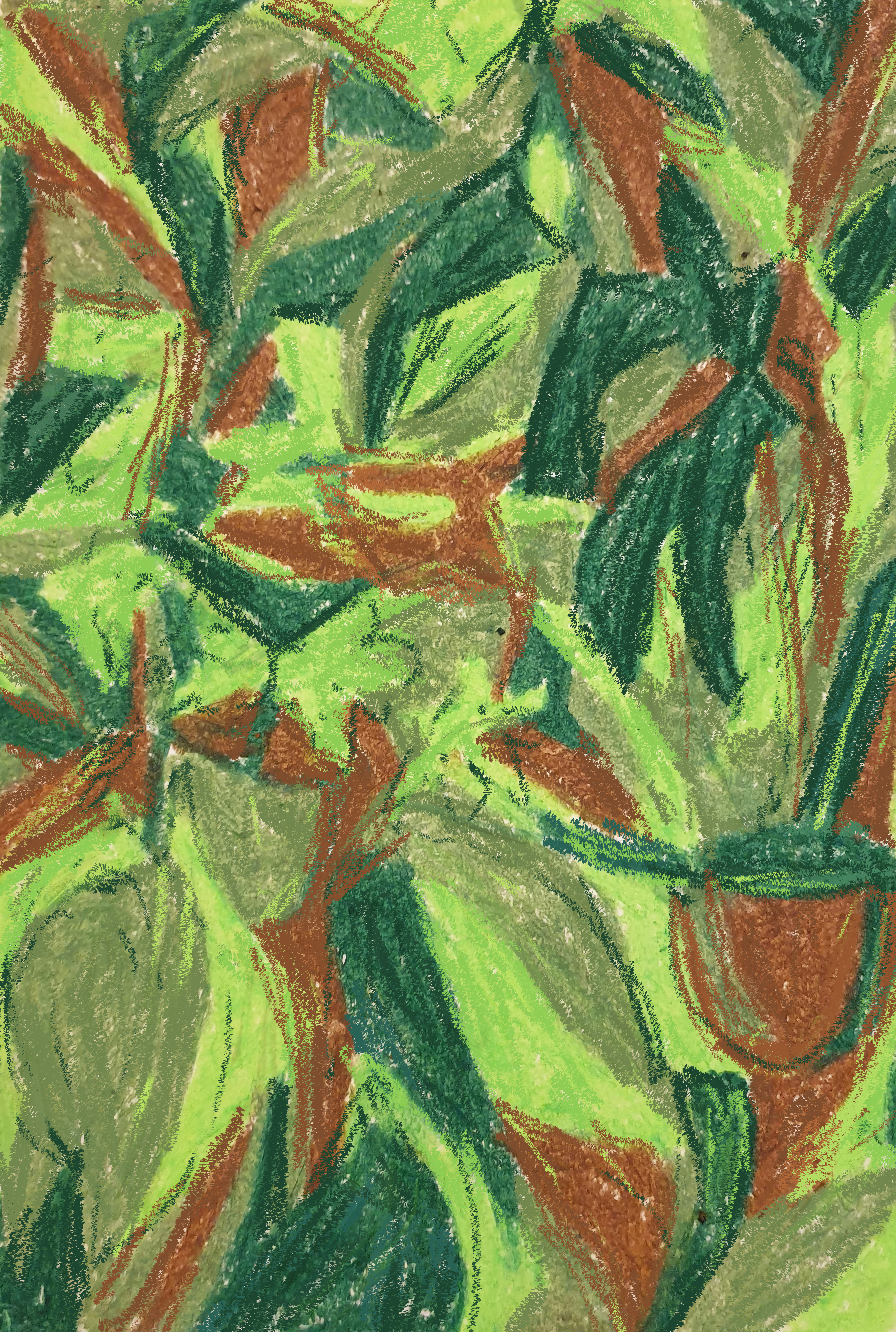 Leaves