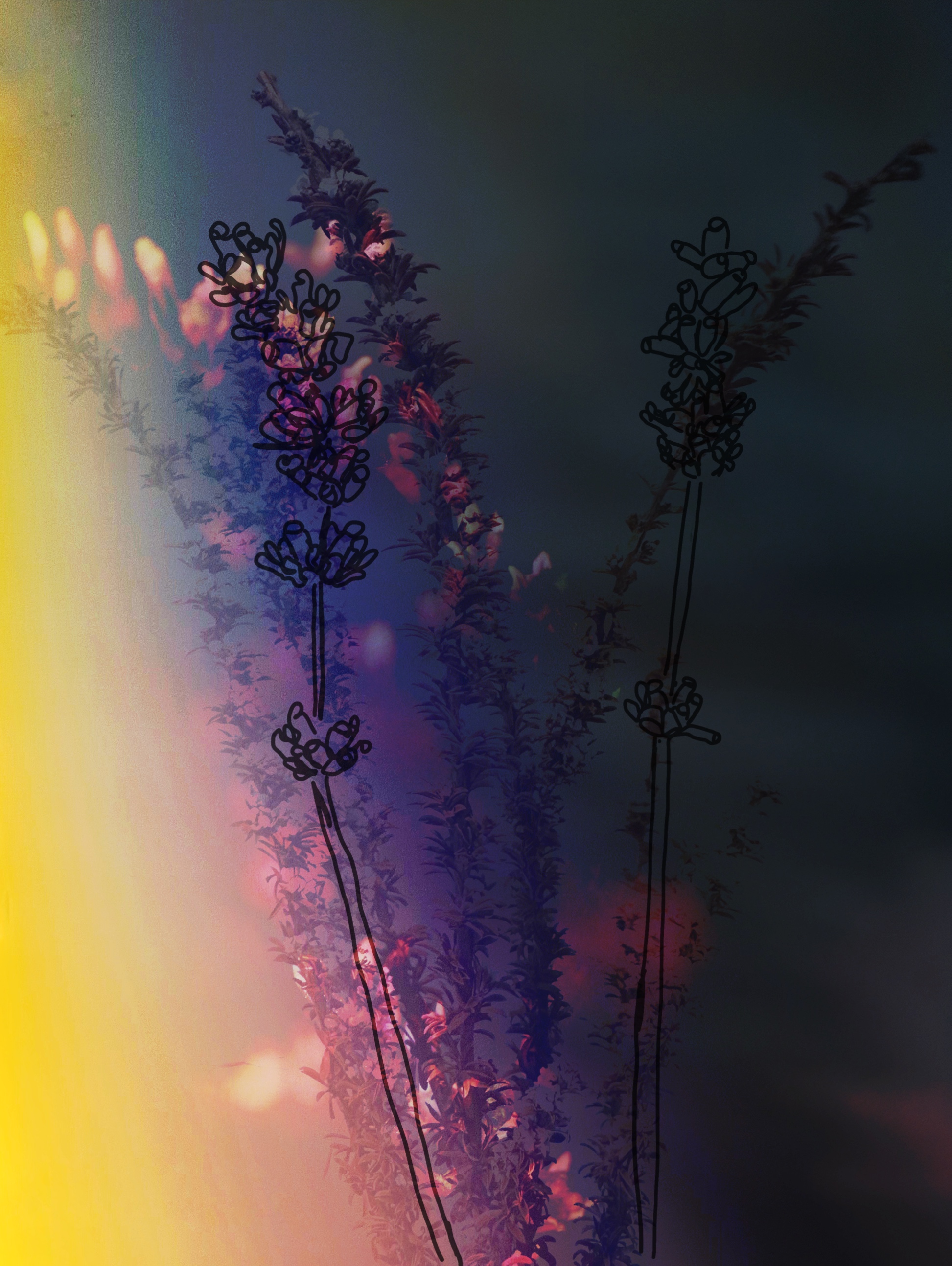 Skeletons in the Grass