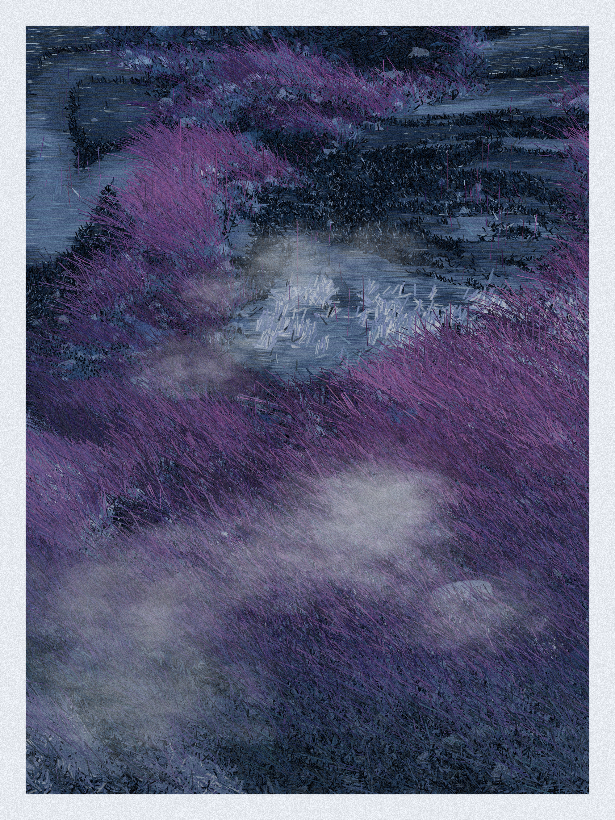 Magic Marshlands
