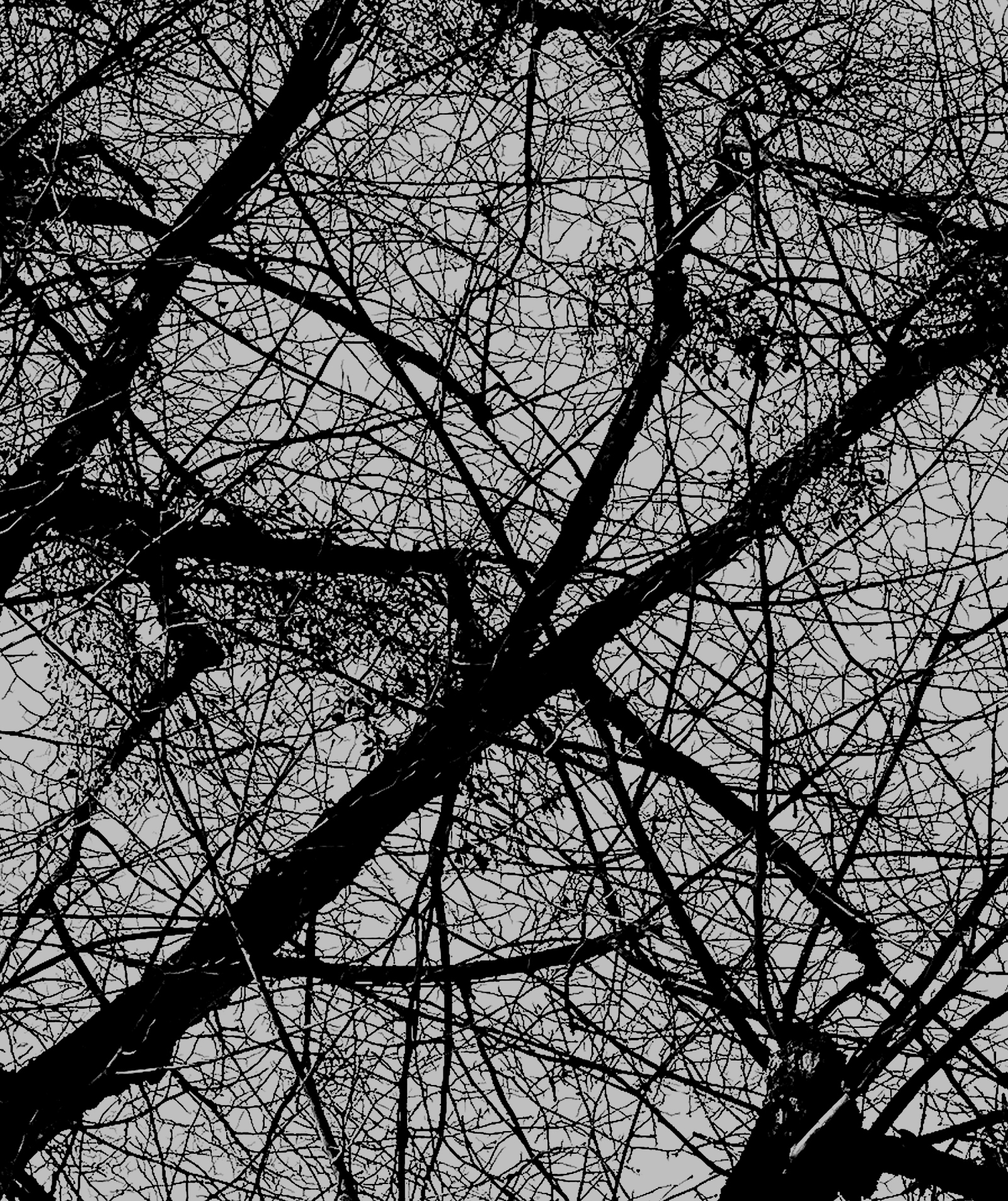 Interlude 57