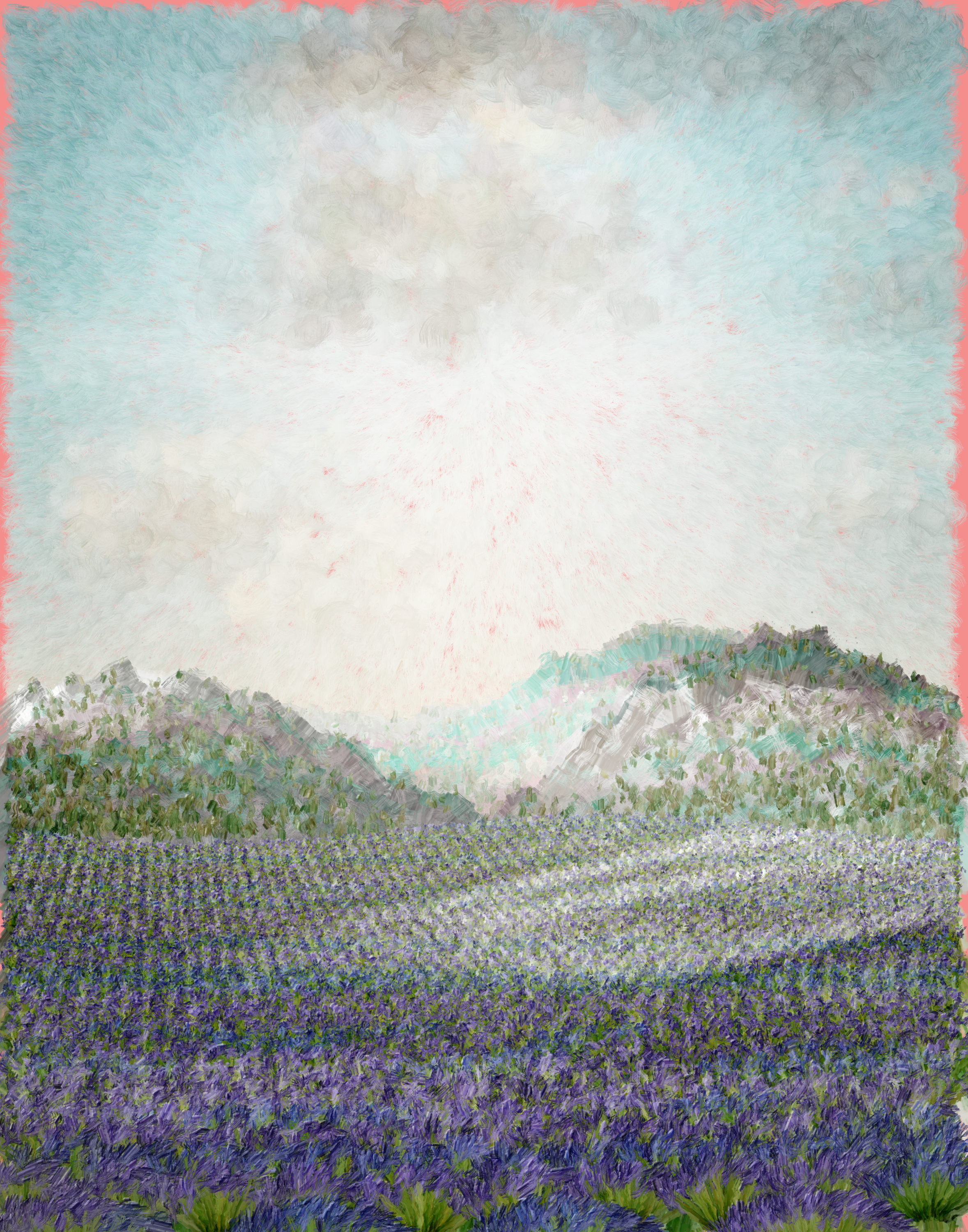 Midmorning on Lavender Field