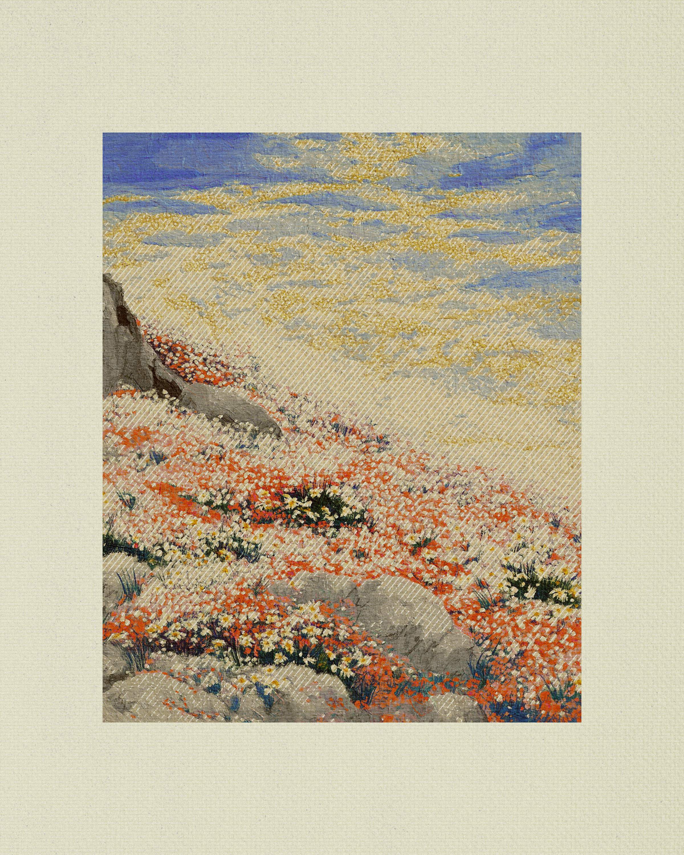 Coast #79