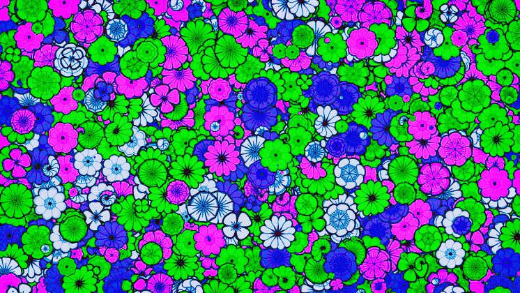 Bloom #1
