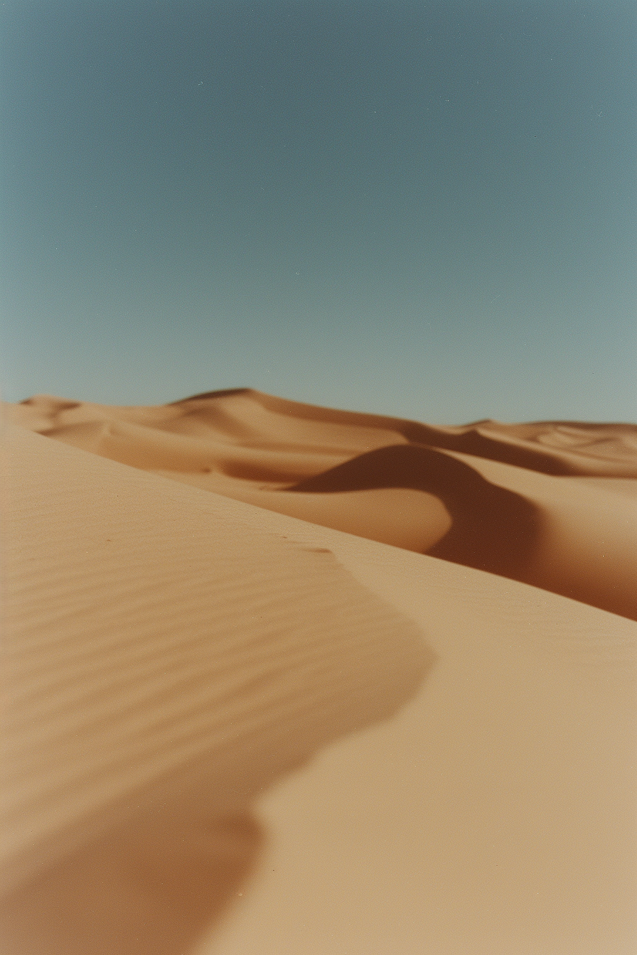 Dune 01/07/22