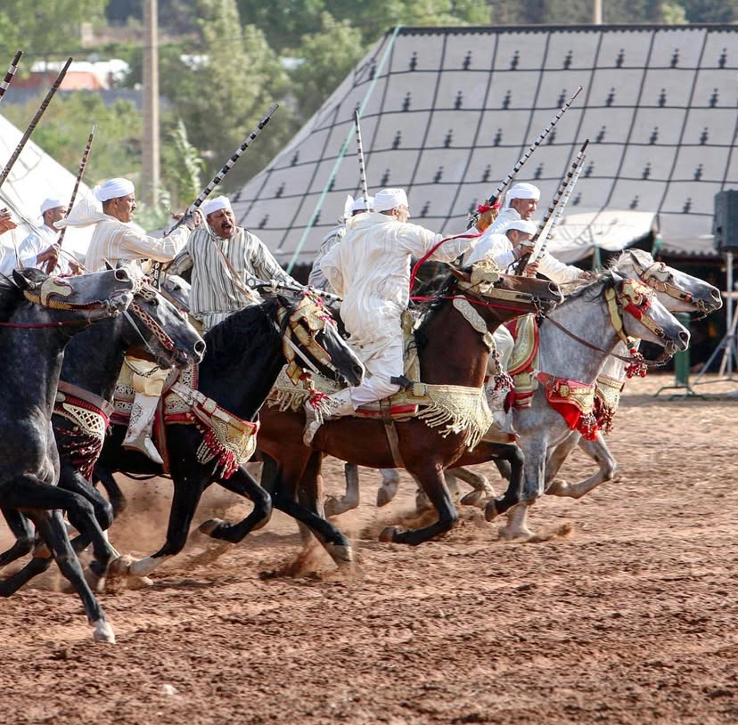 Tbourida, Moroccan horsemanship (2011)