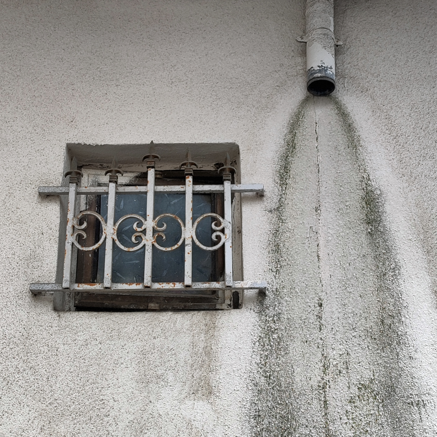 Window