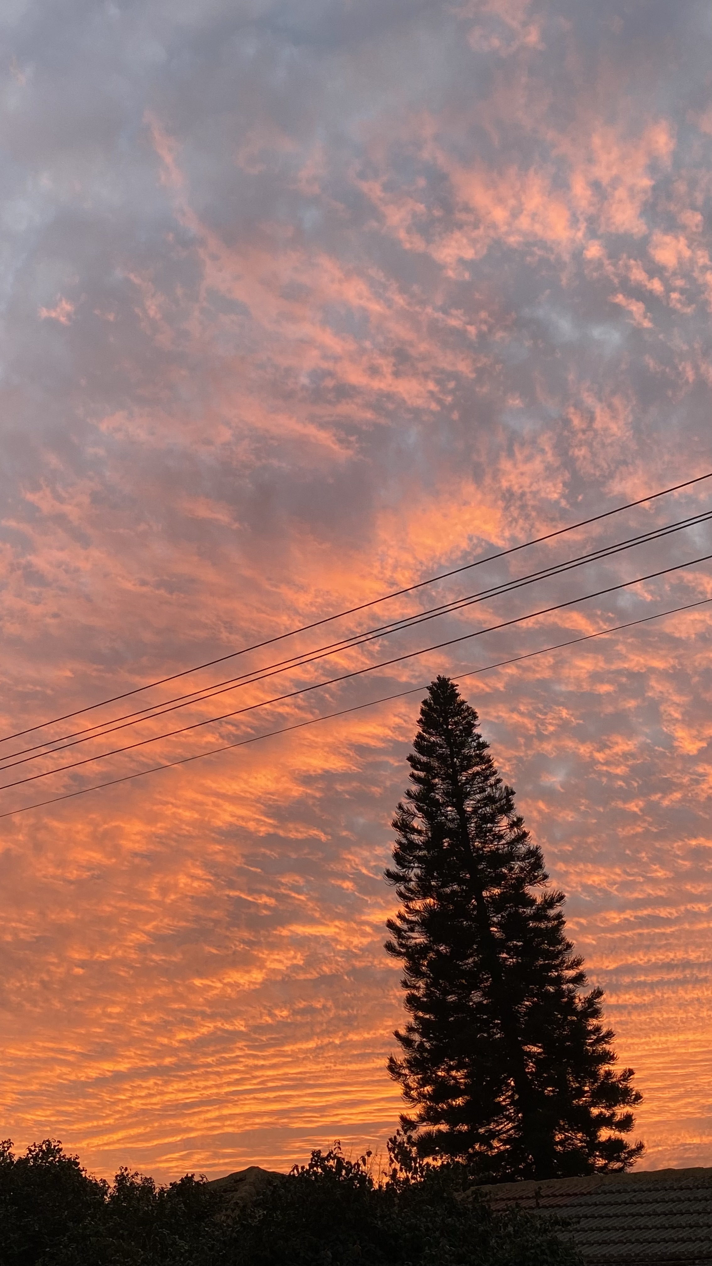 fire sky