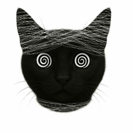 Purrcasso
