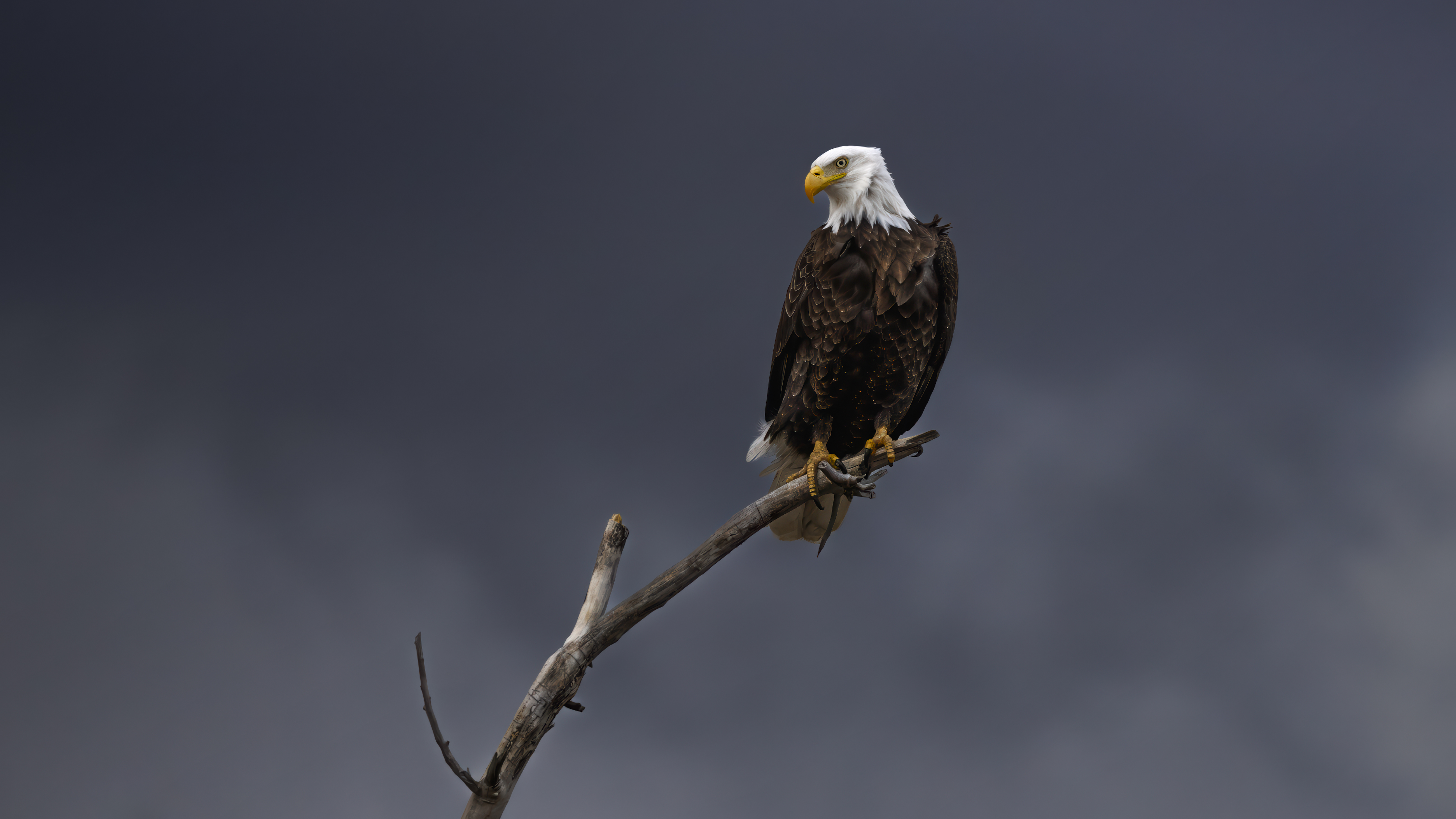 Stormy