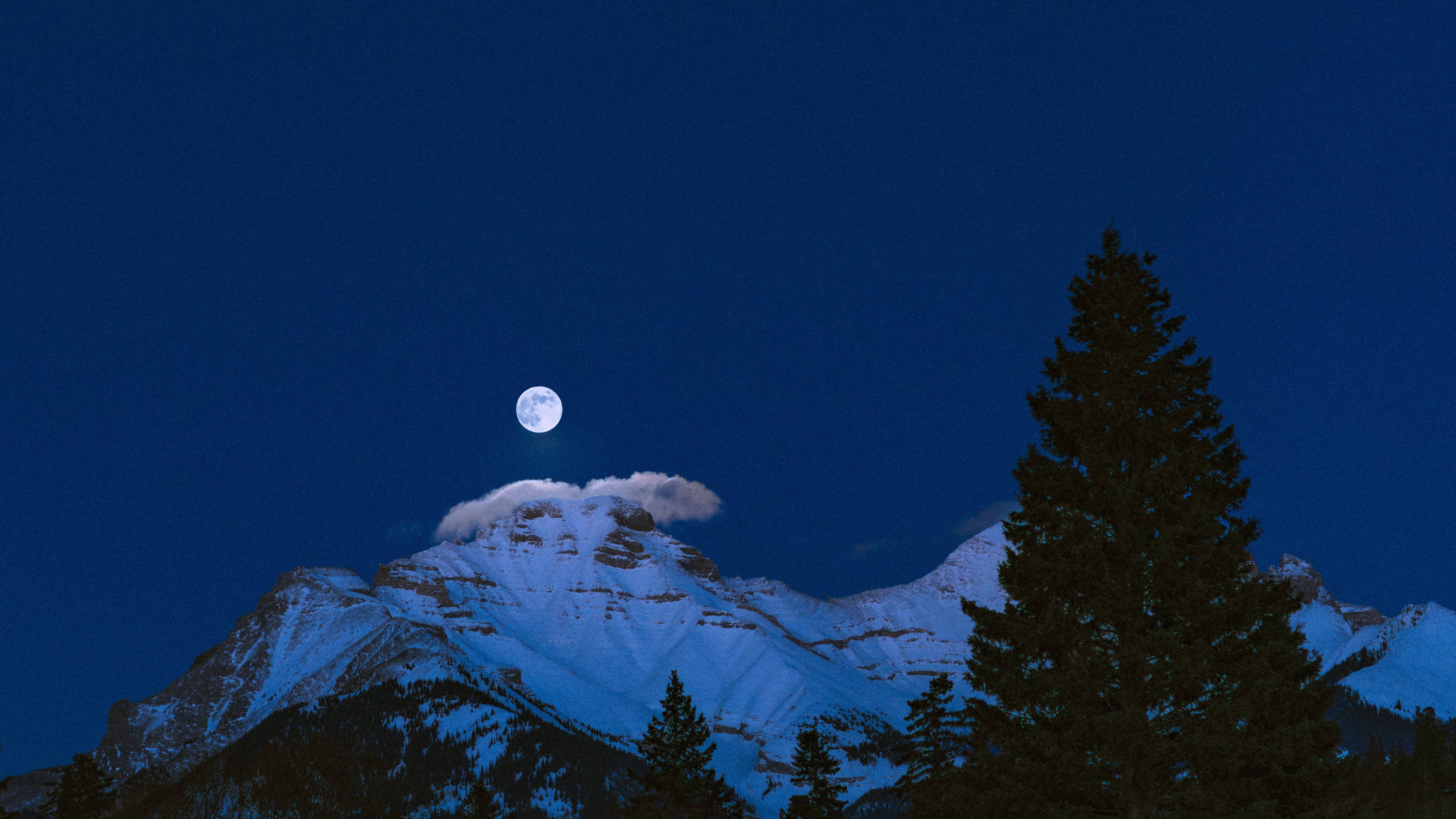 serendipity in blue
