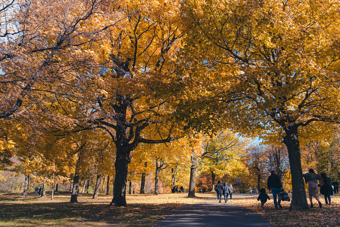 Walk in the park #18
