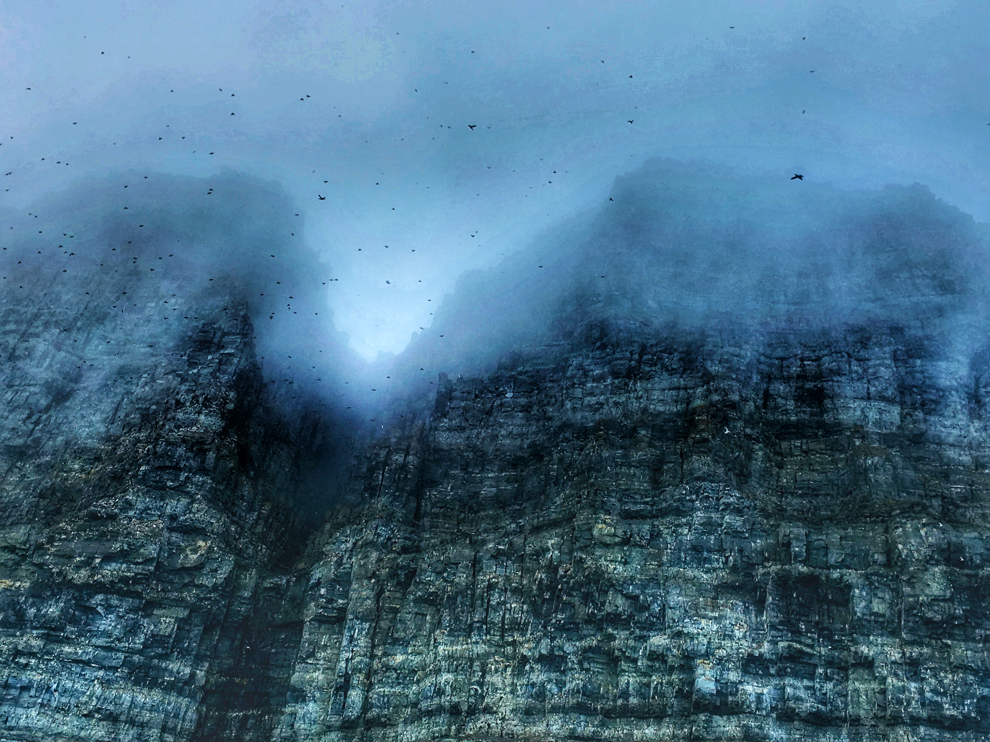 The Bird Sanctuary of the Arctic #3