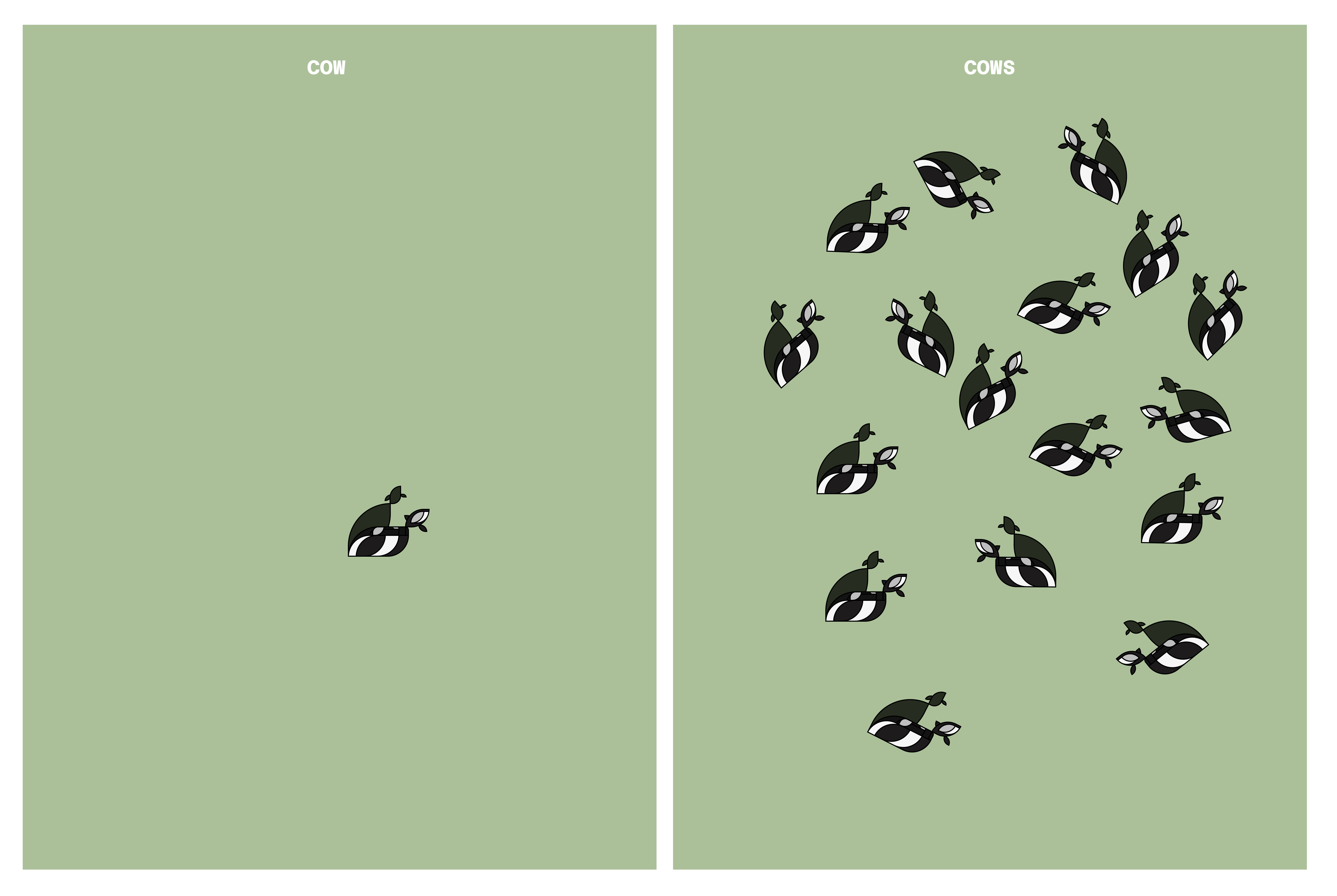 Cow and Cows