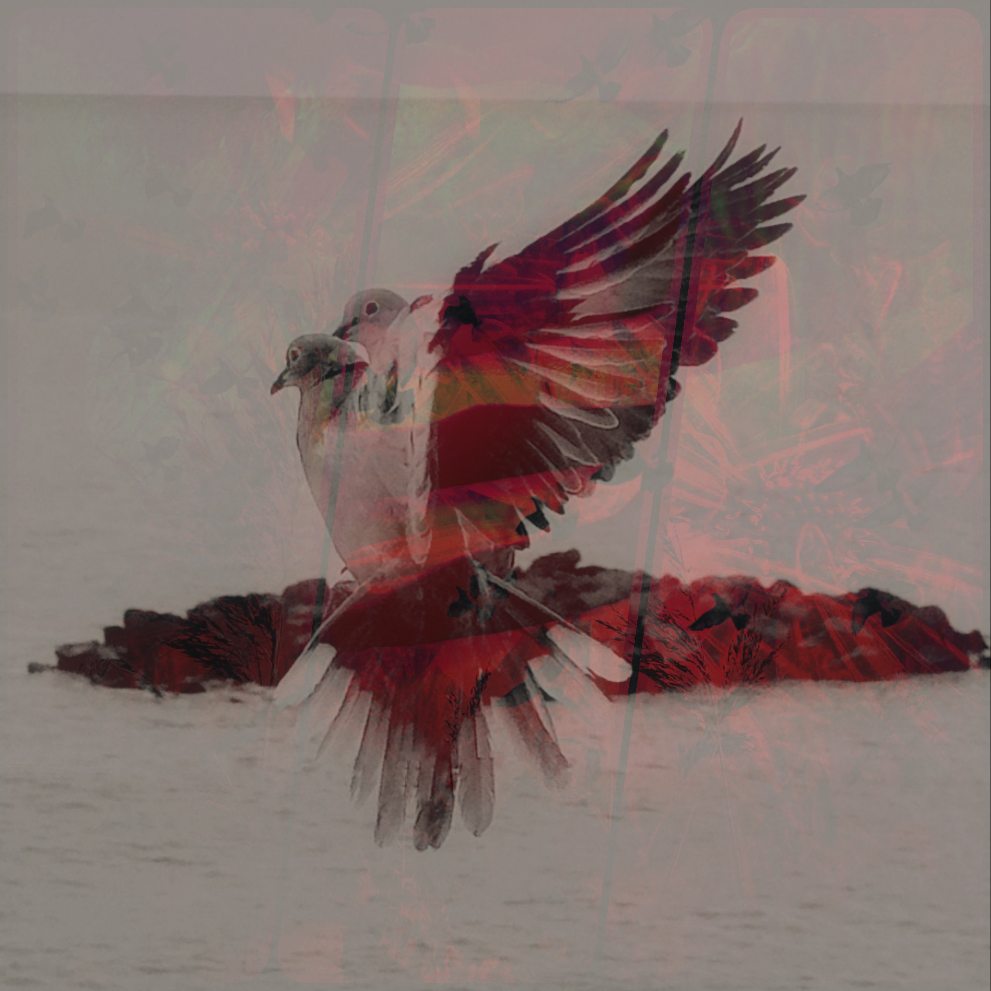 The Birds