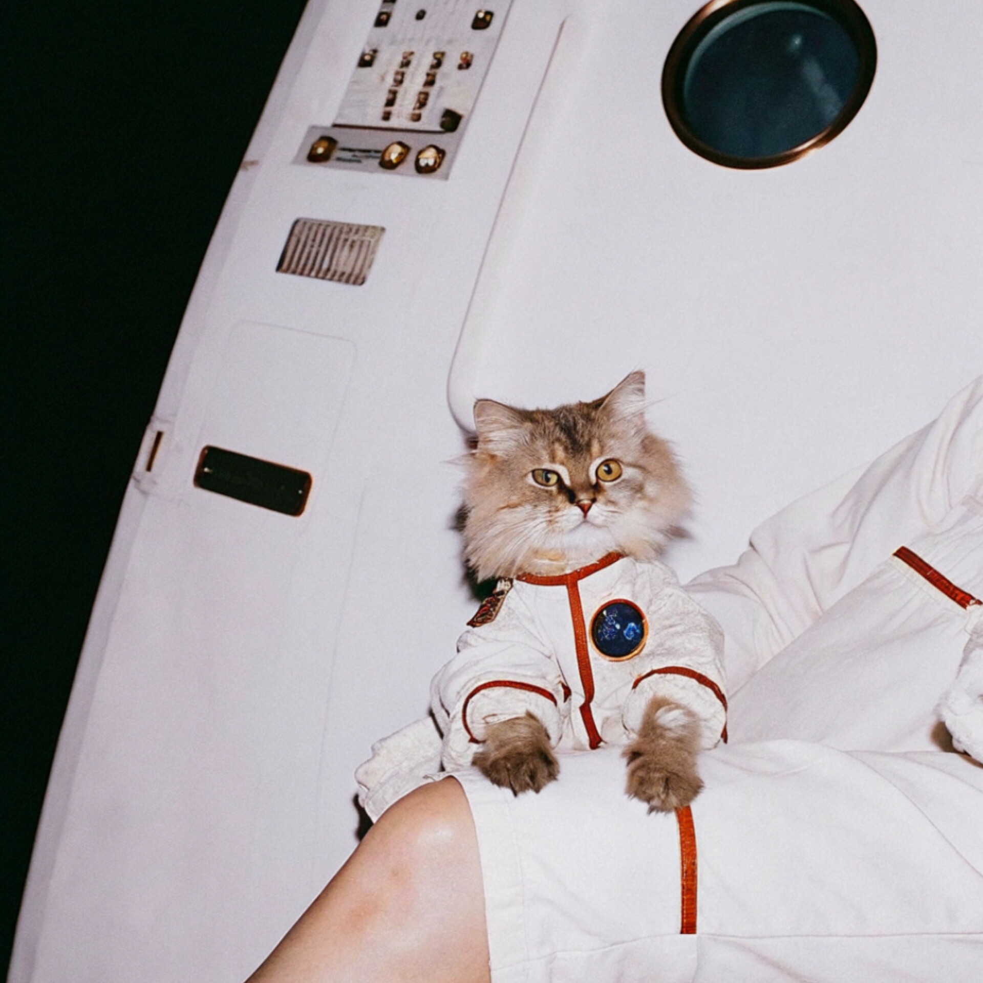 Astronaut Daily Collection NO (2/30)