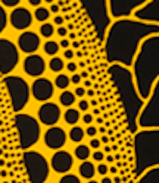Pumpkin (2) by Yayoi Kusama #6389