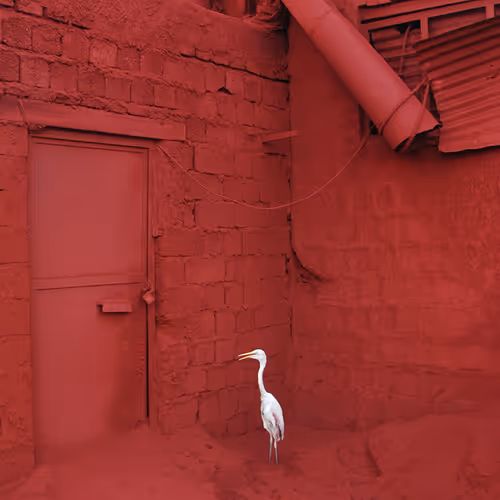 A Nightmare for the Heron - No. 1