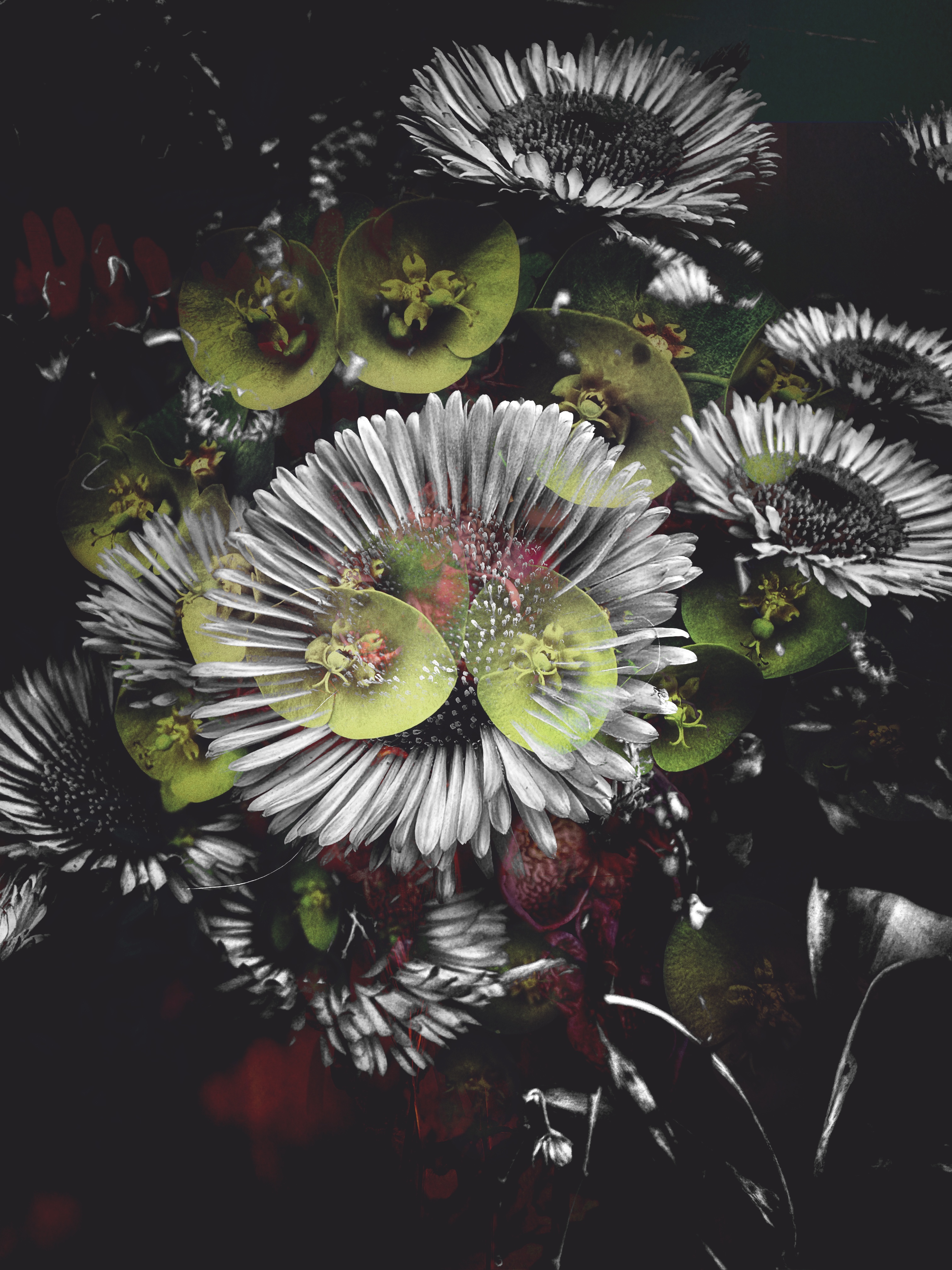 Floral Mash