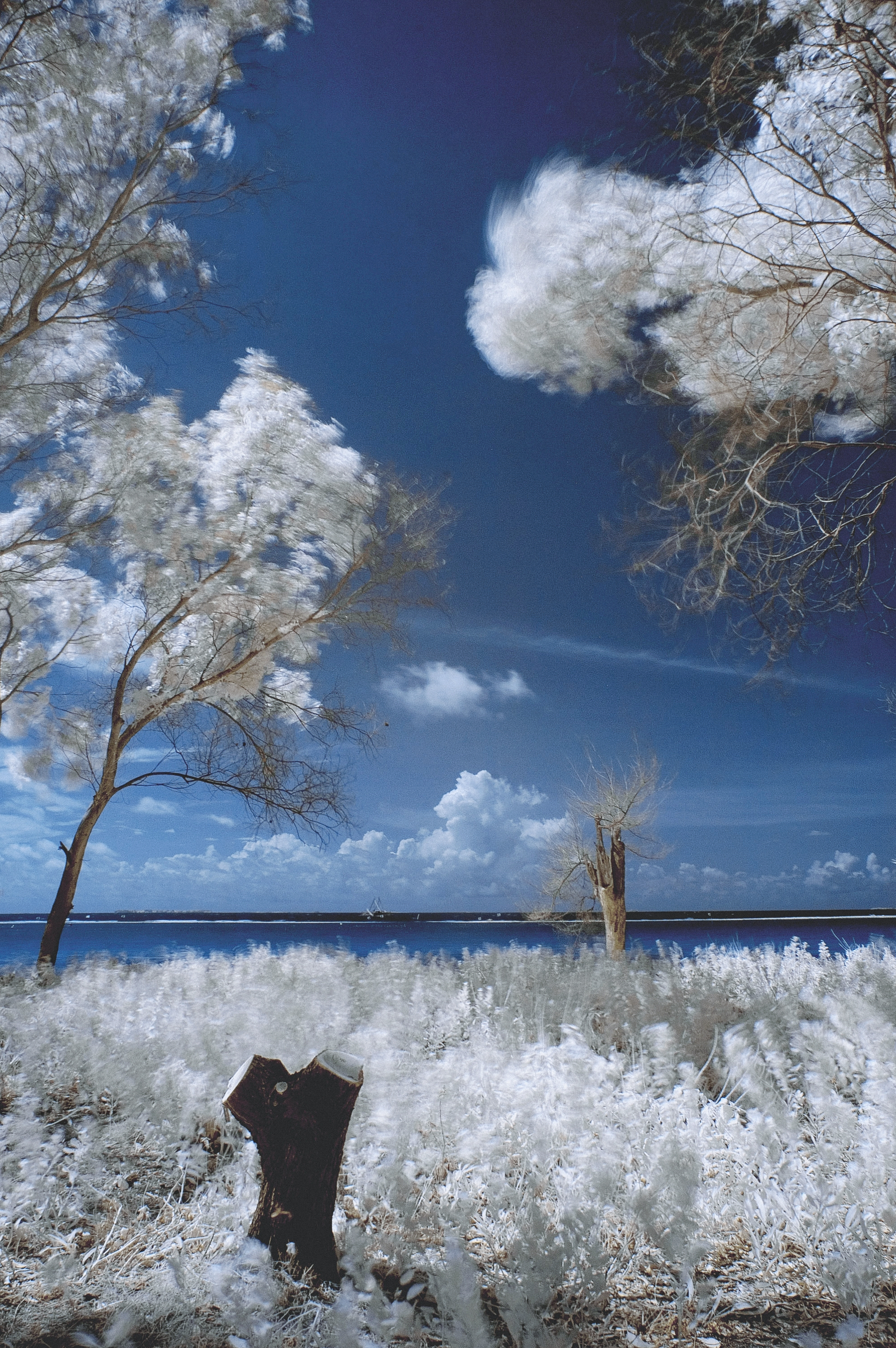 Untitled #IR01