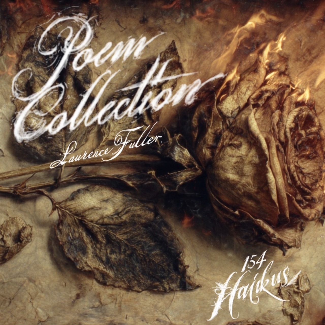 POEM Collection ~ Haiku