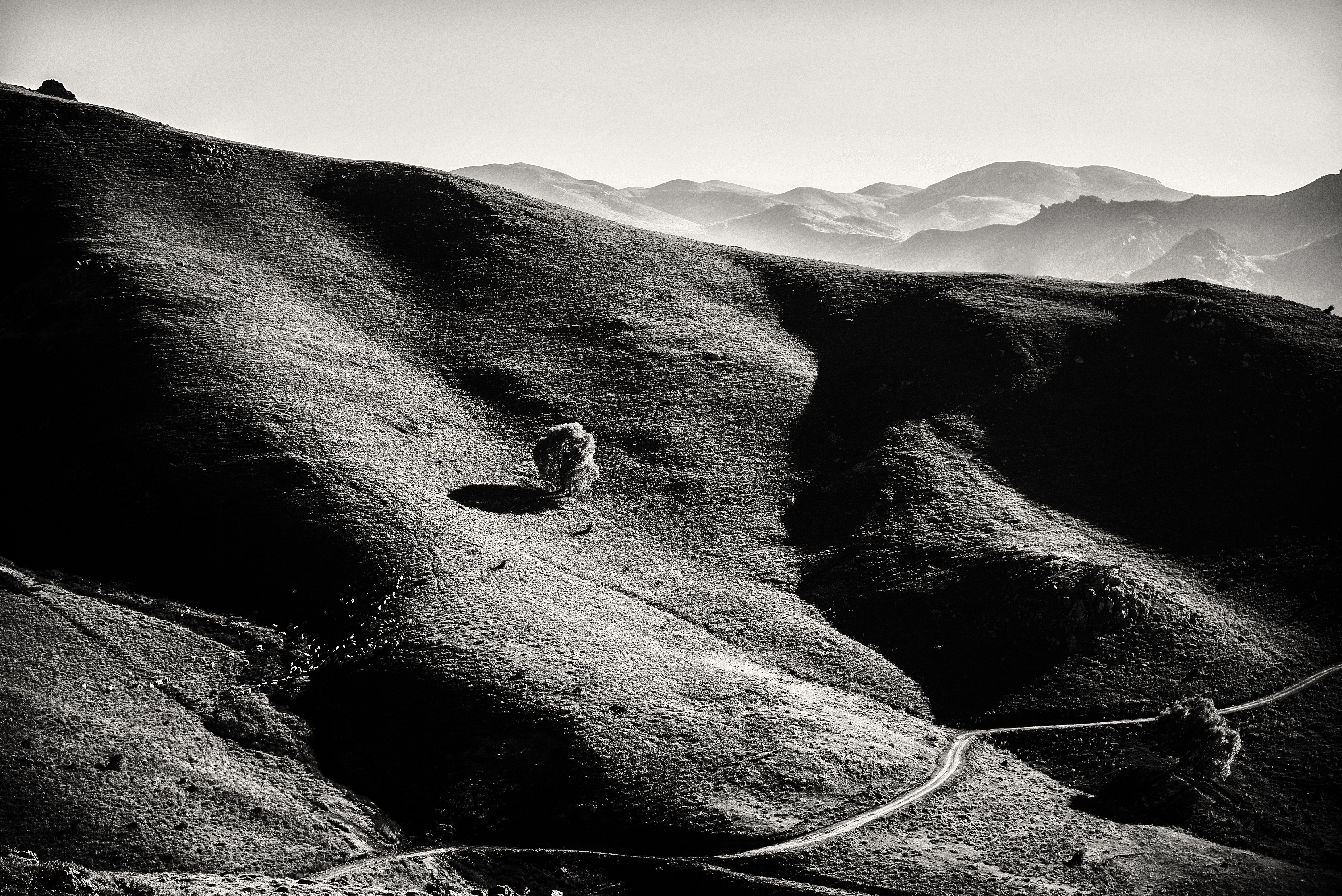 Voice of the Mountains #5
