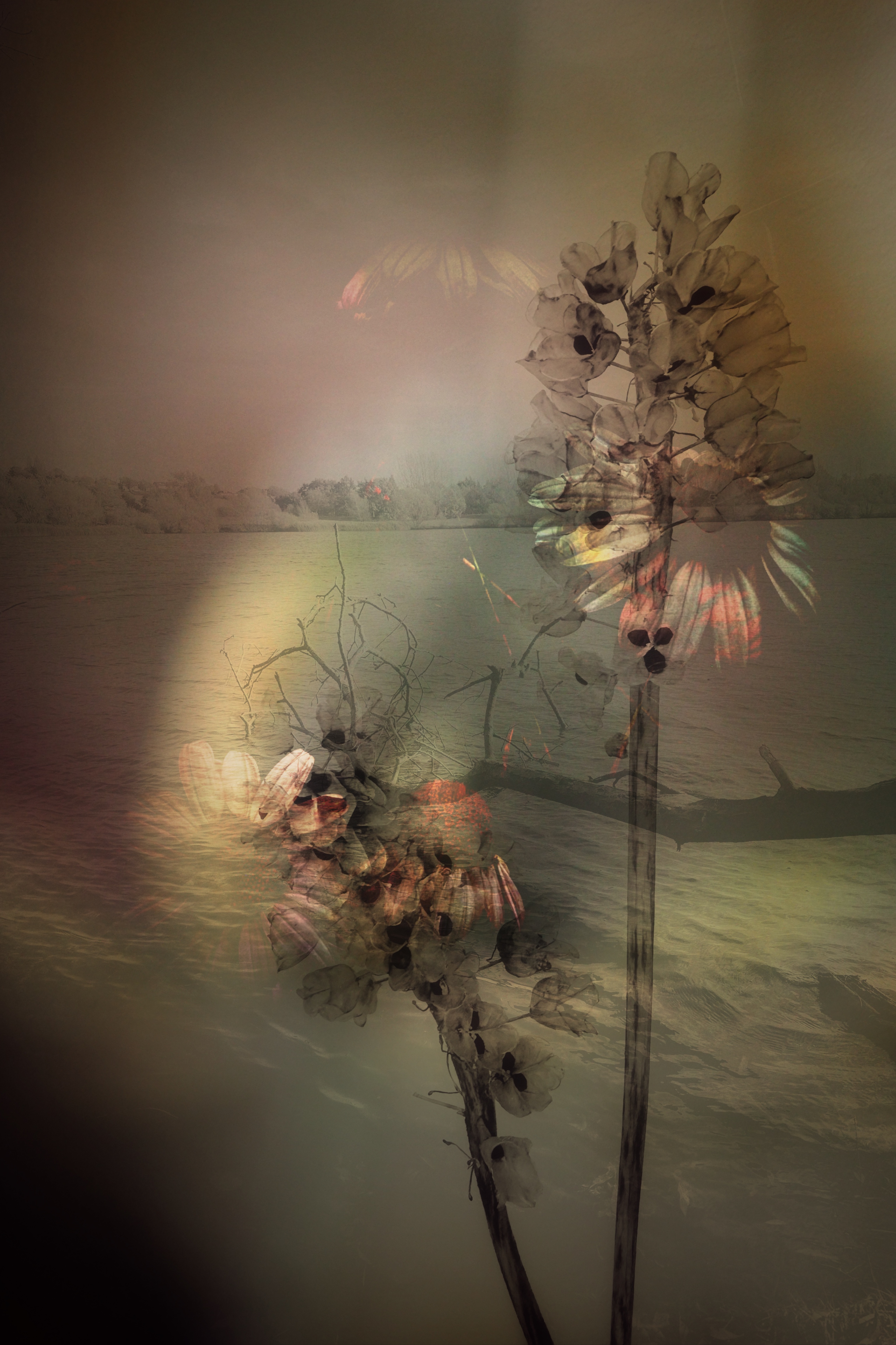 Fading Away #42