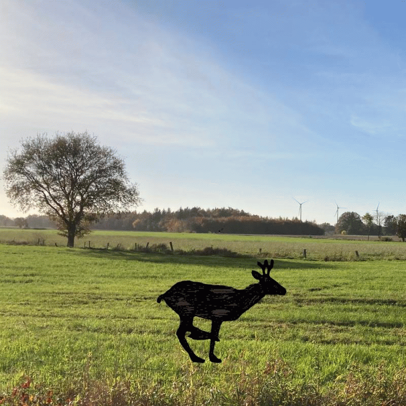 Around E-Town