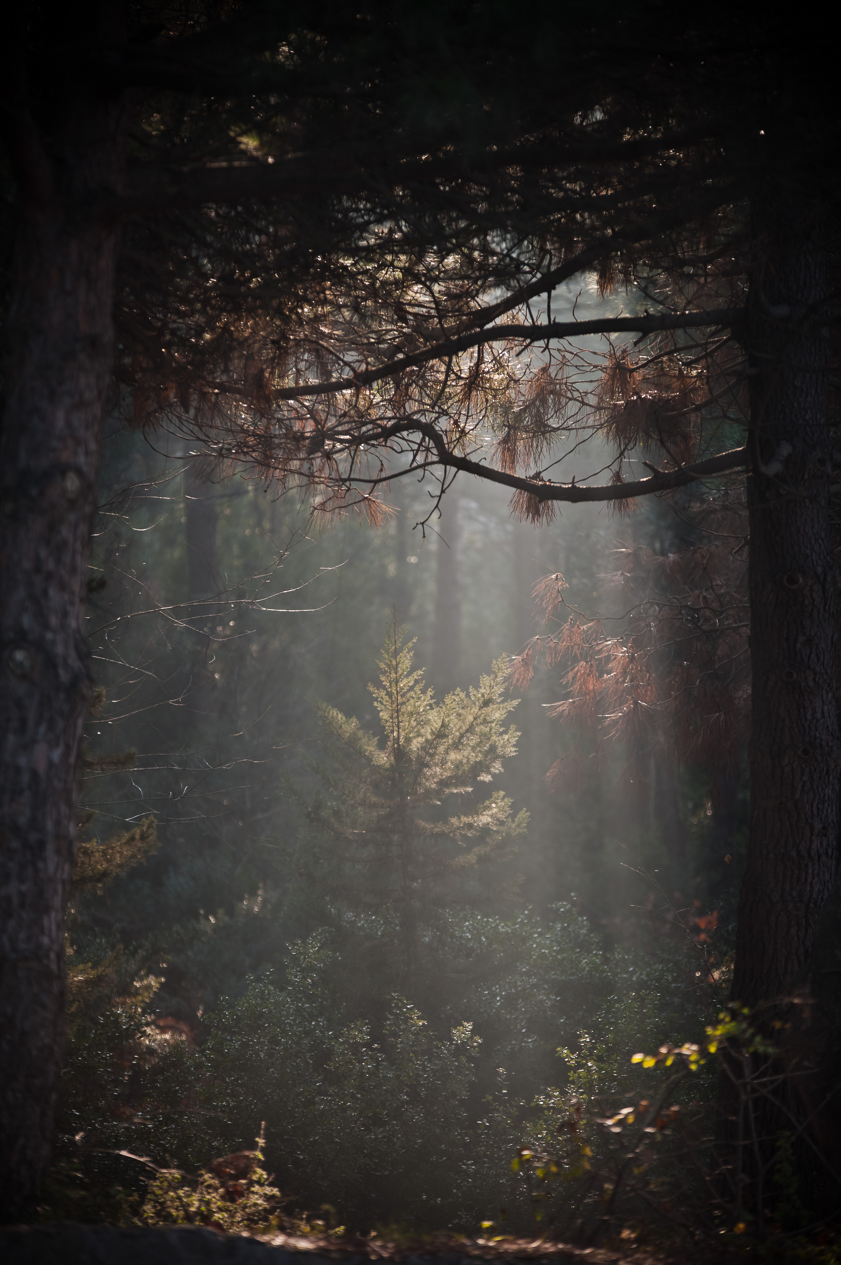 A place...