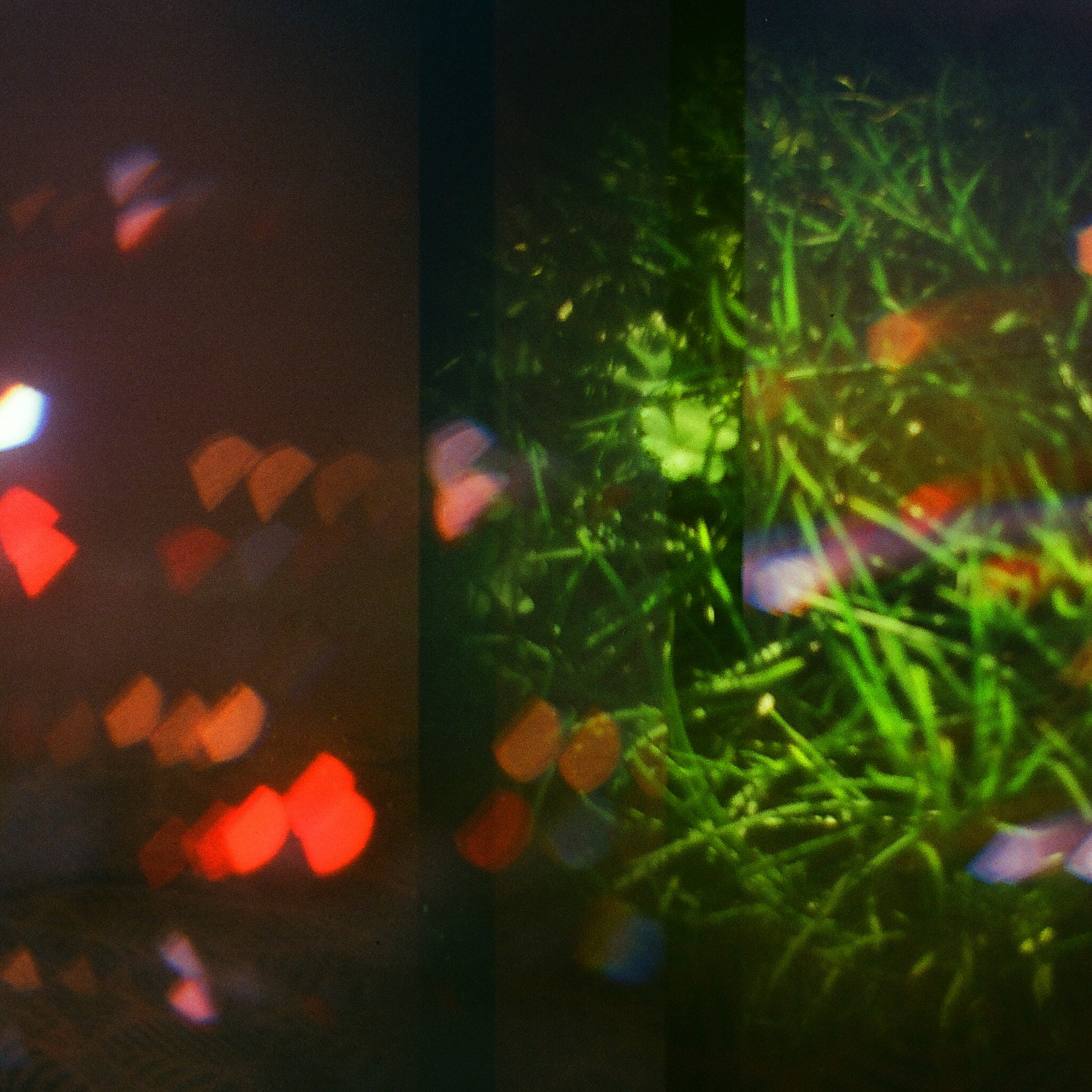 film_error5