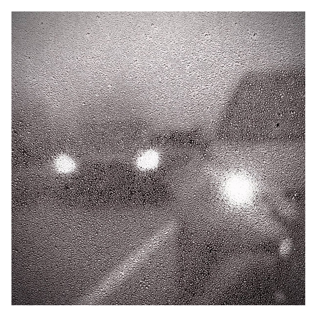 Through the Mist