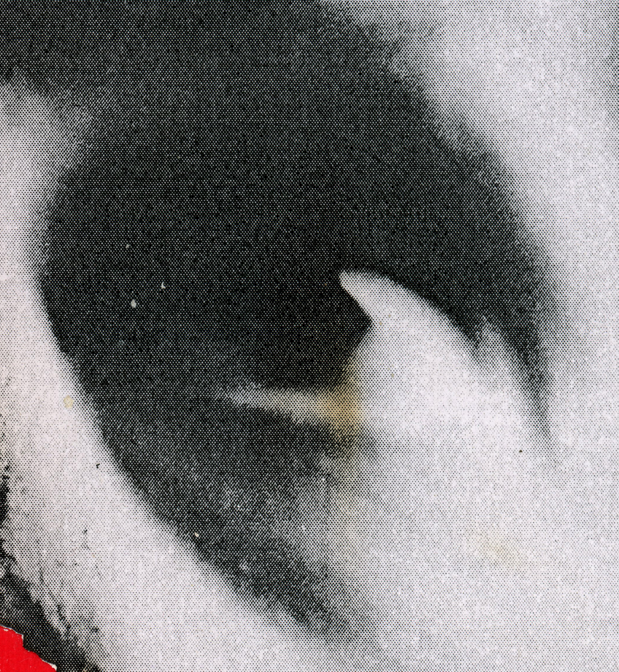 wip (detail)