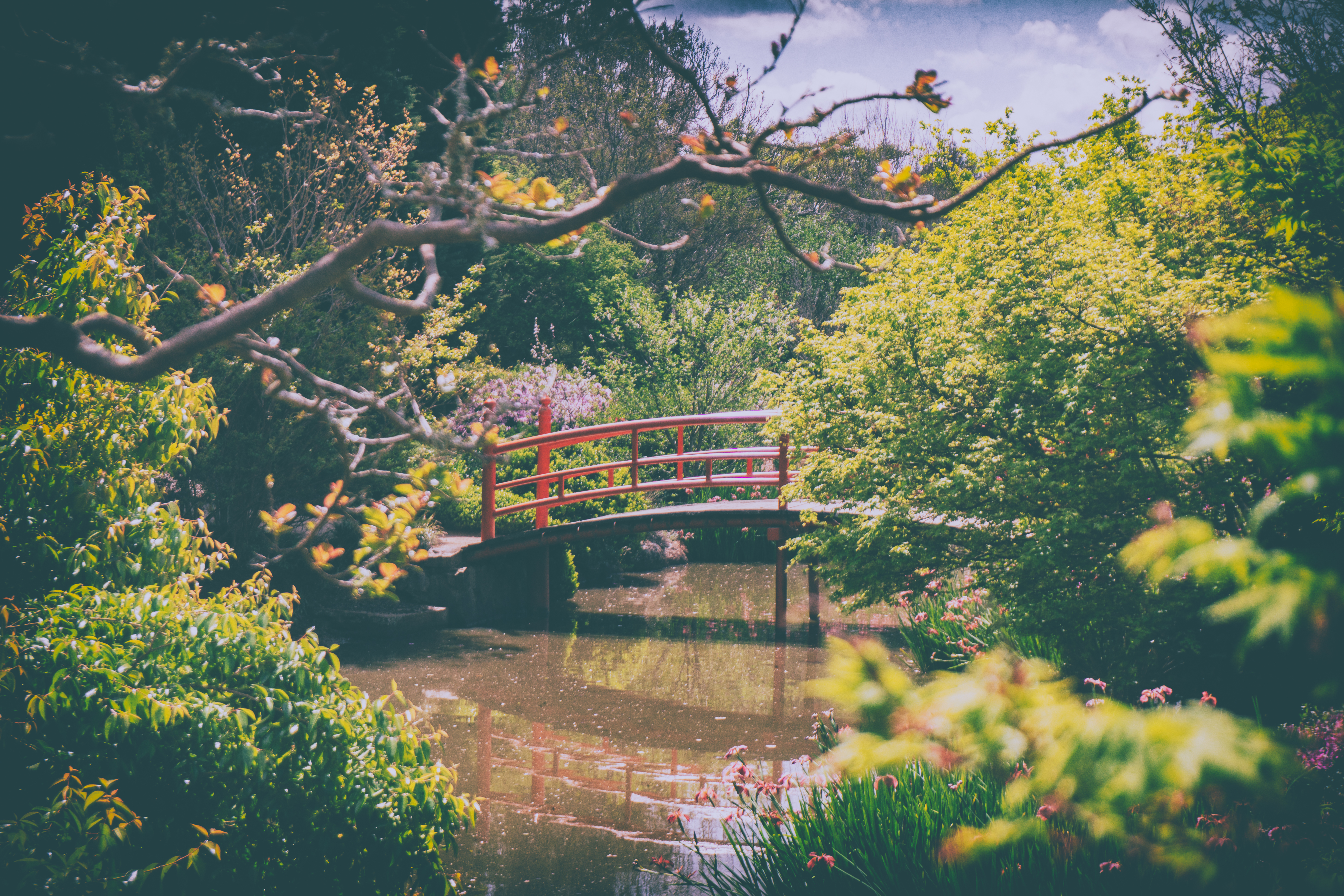 Japanese garden