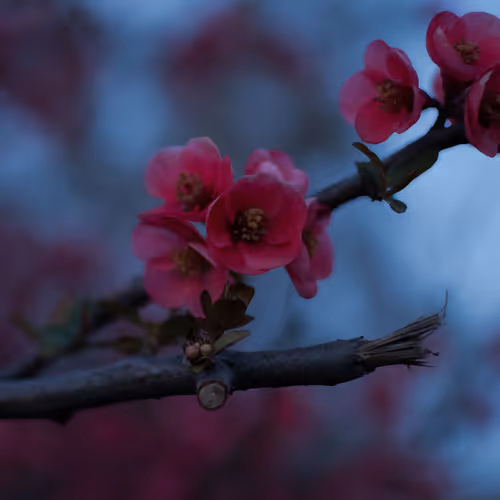 Floral Experiment II