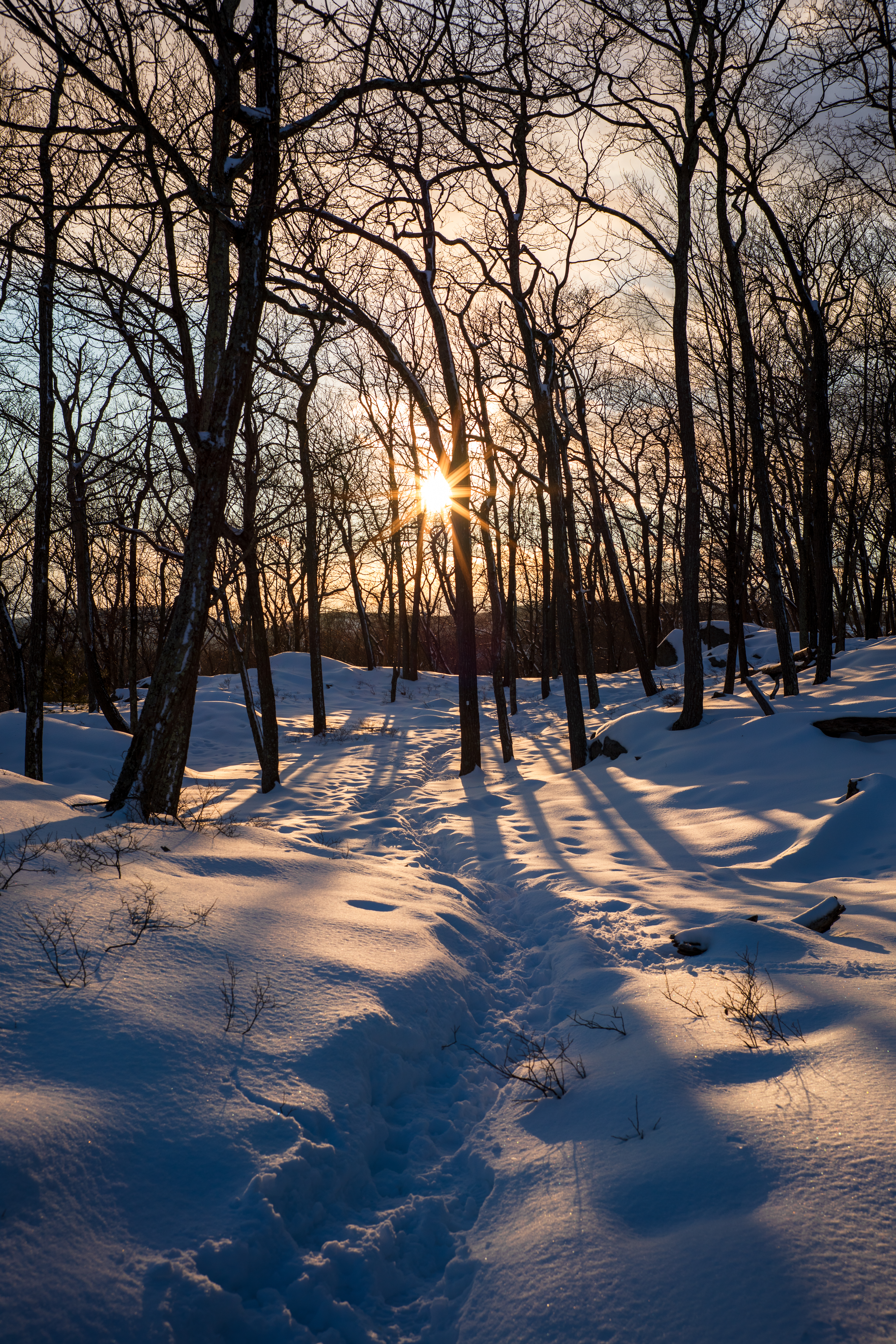 Winter Scene #001