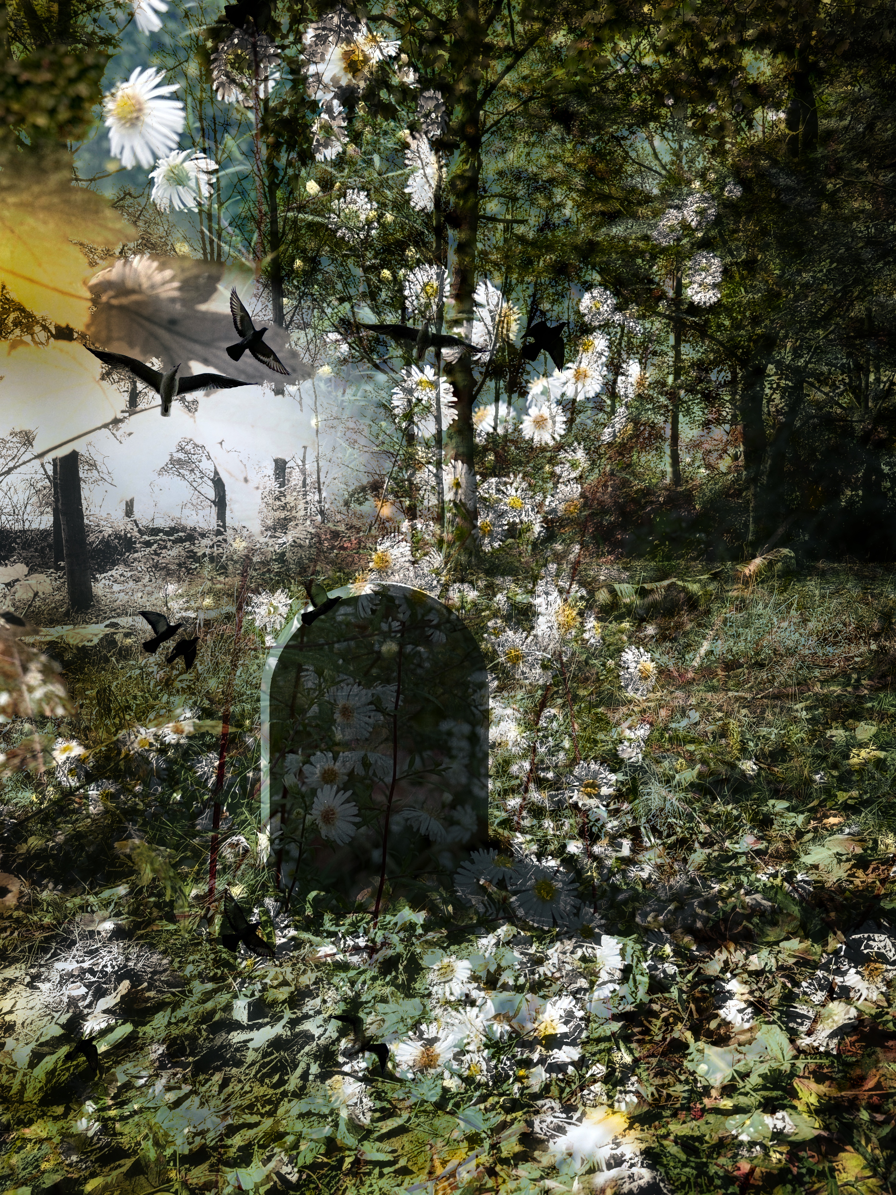 Floral Graves #37