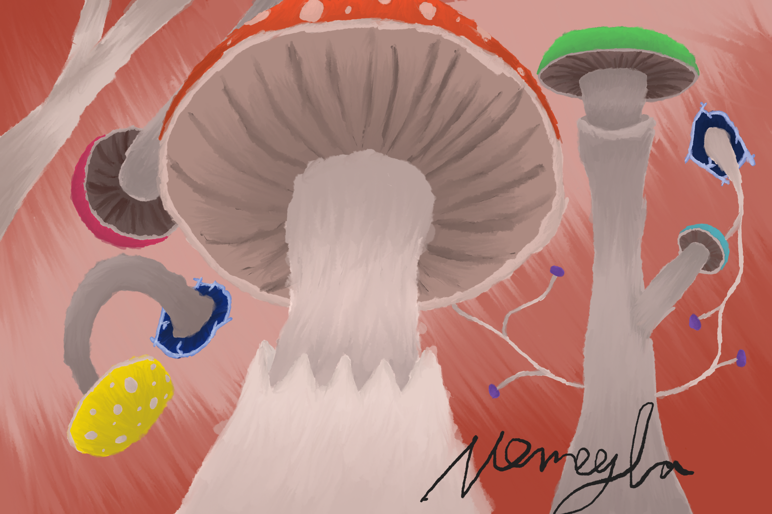 Quick Mushroom Thoughts