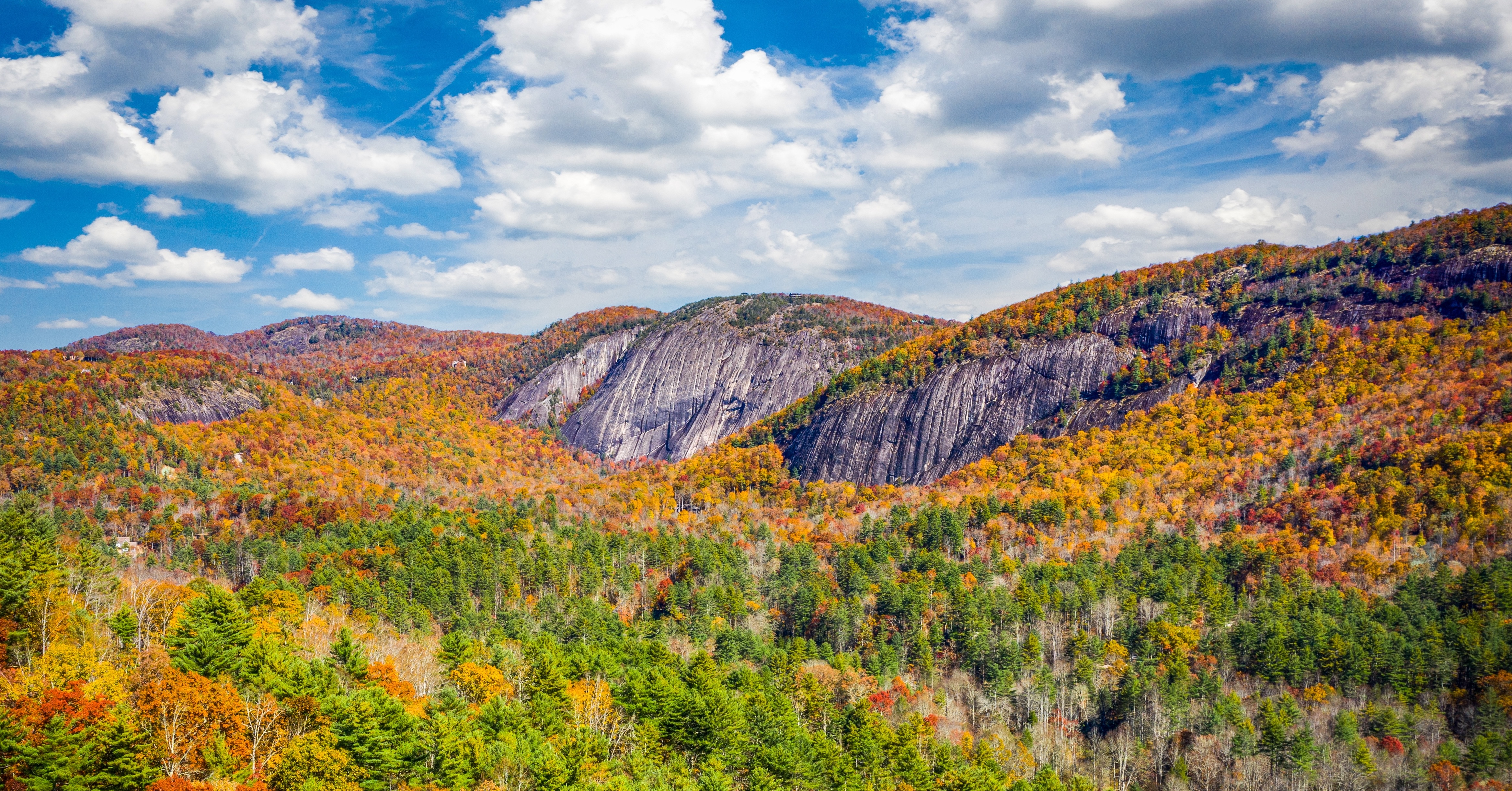 bald rock