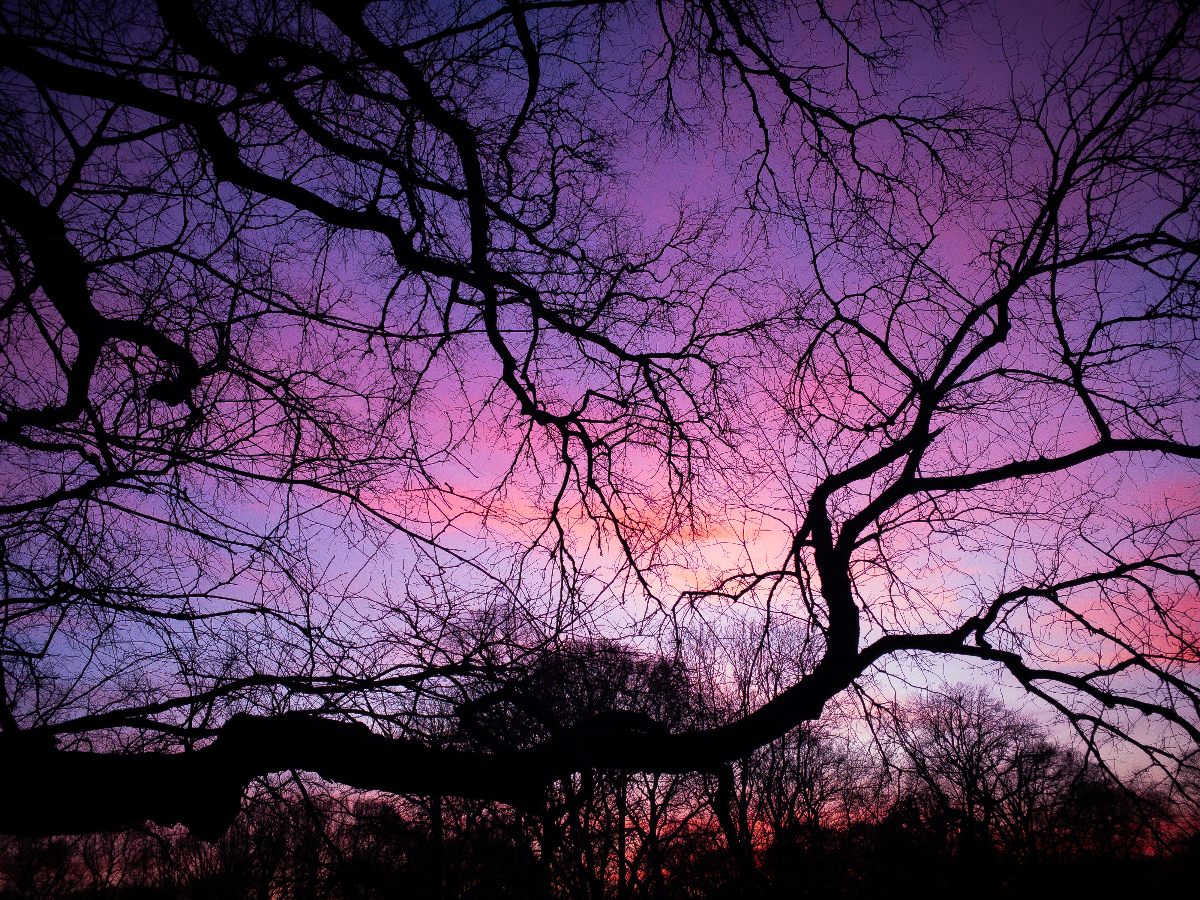 Scattered Sky #19