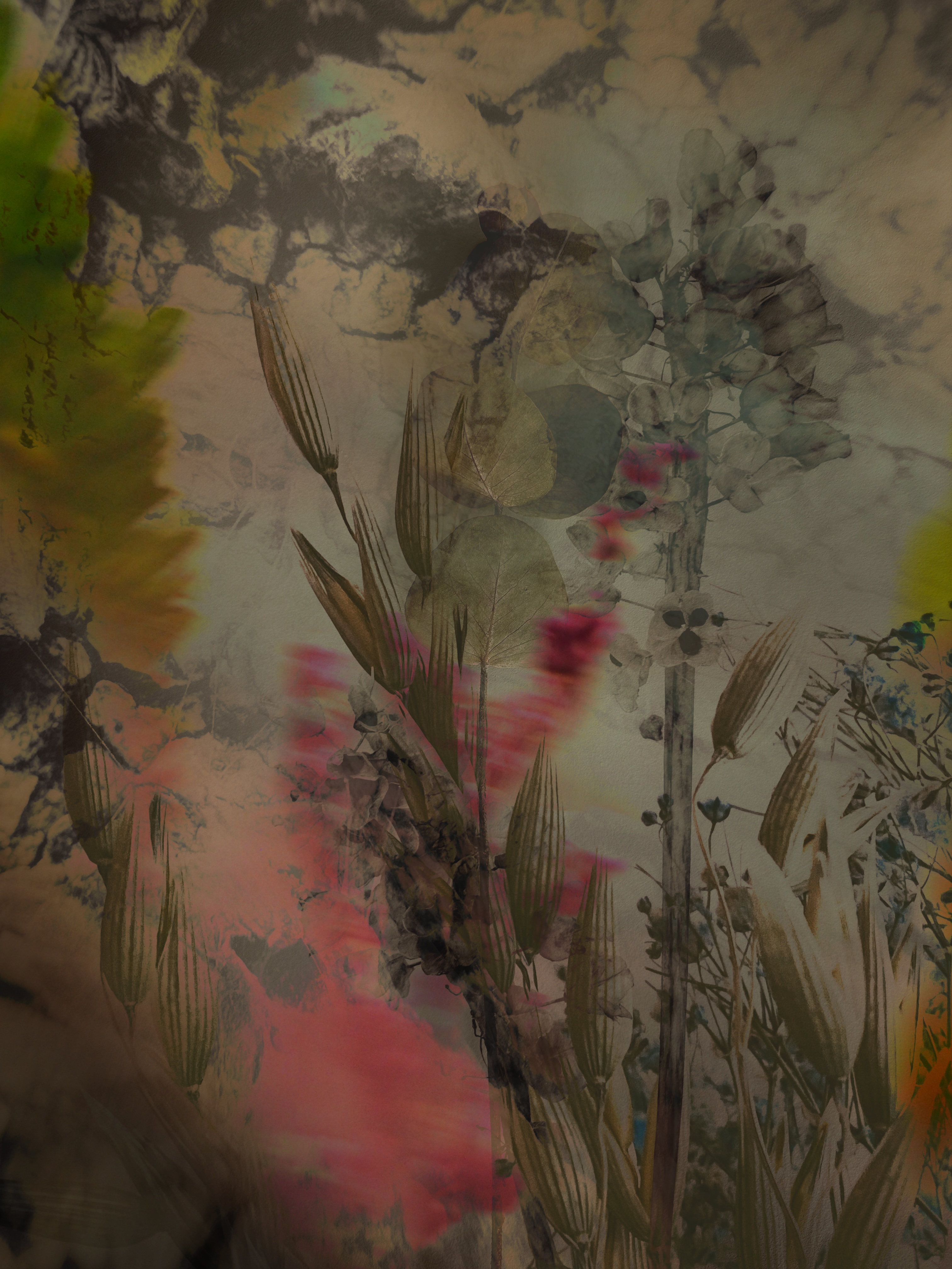 Vintage Bark #173