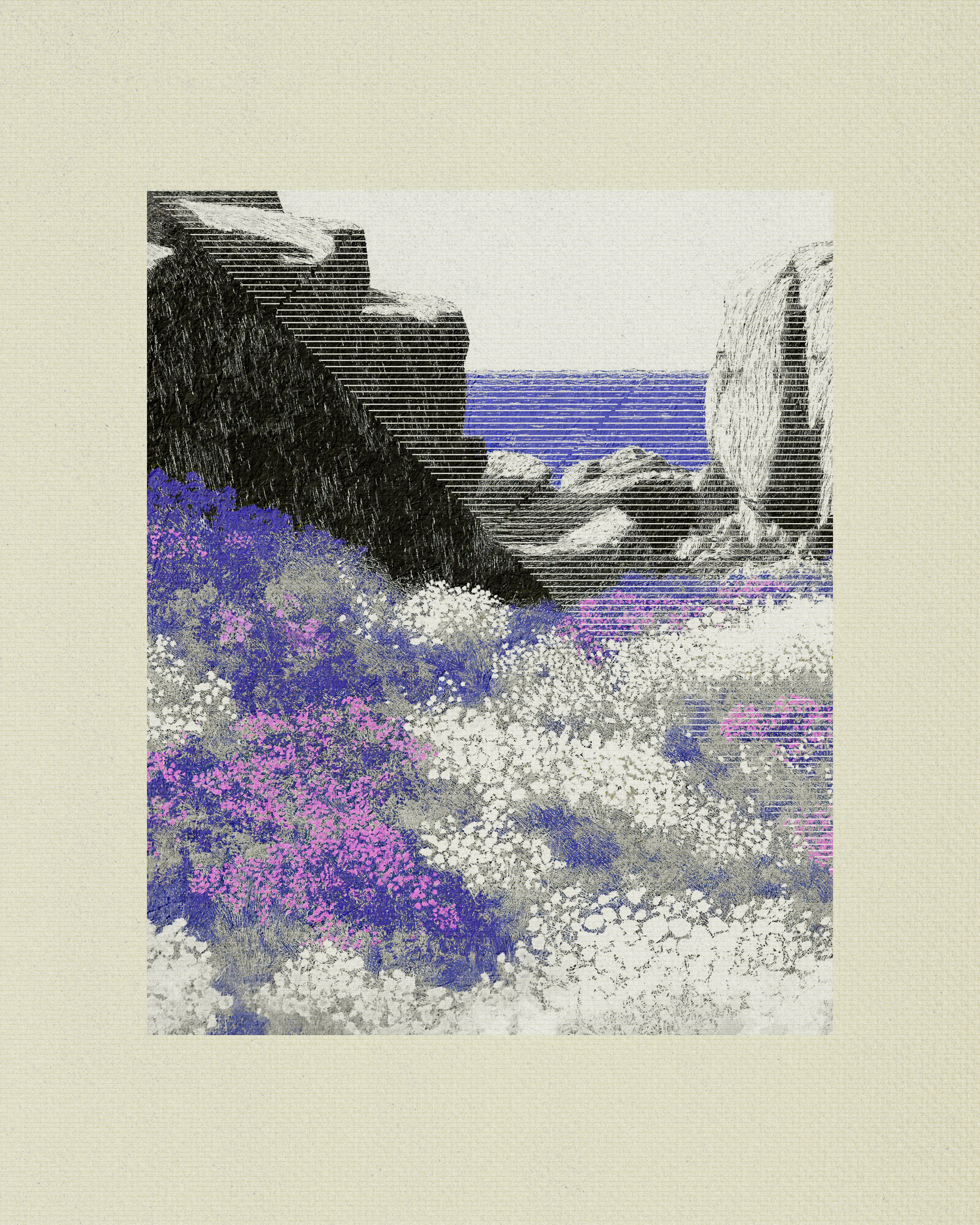 Coast #43