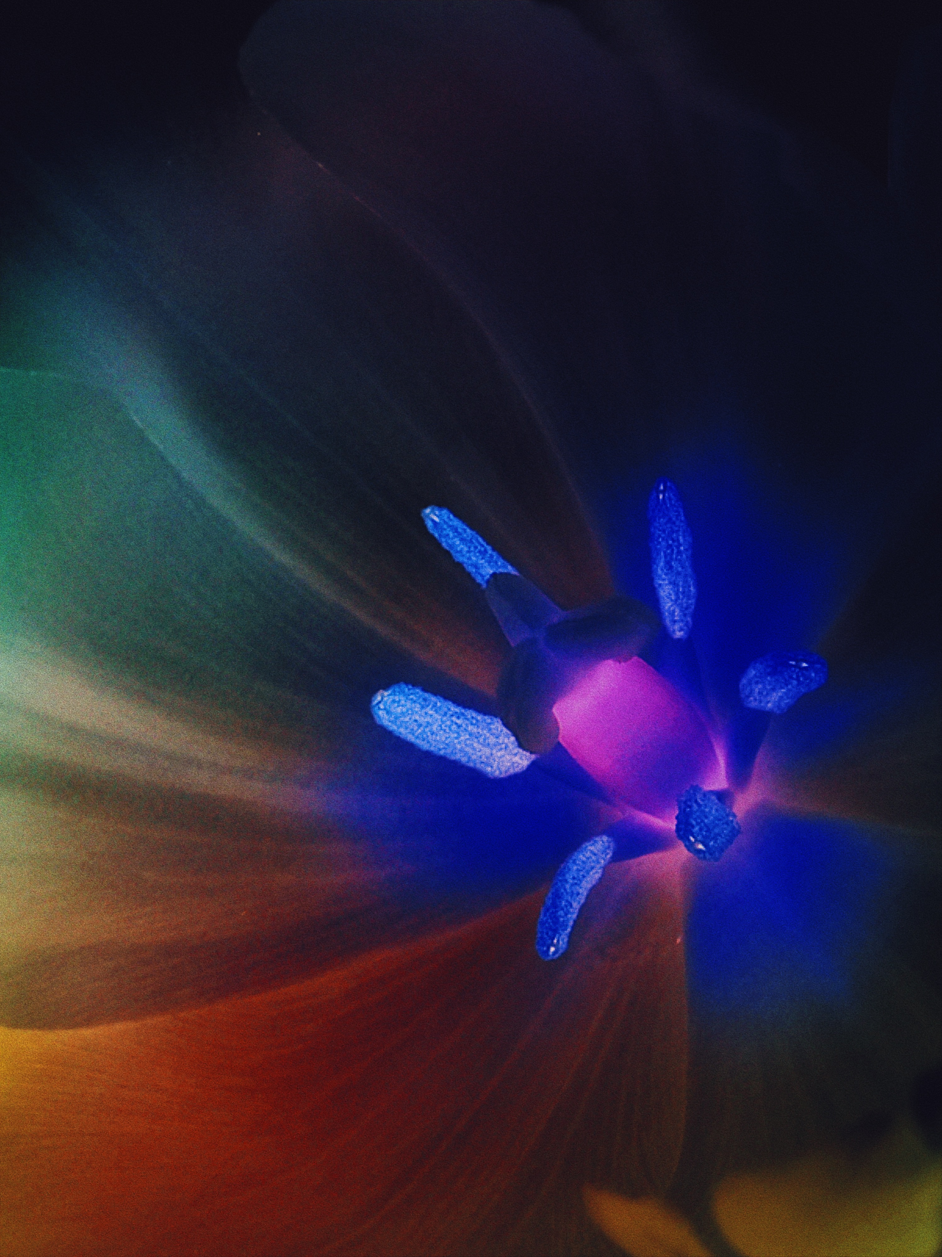 NEON V