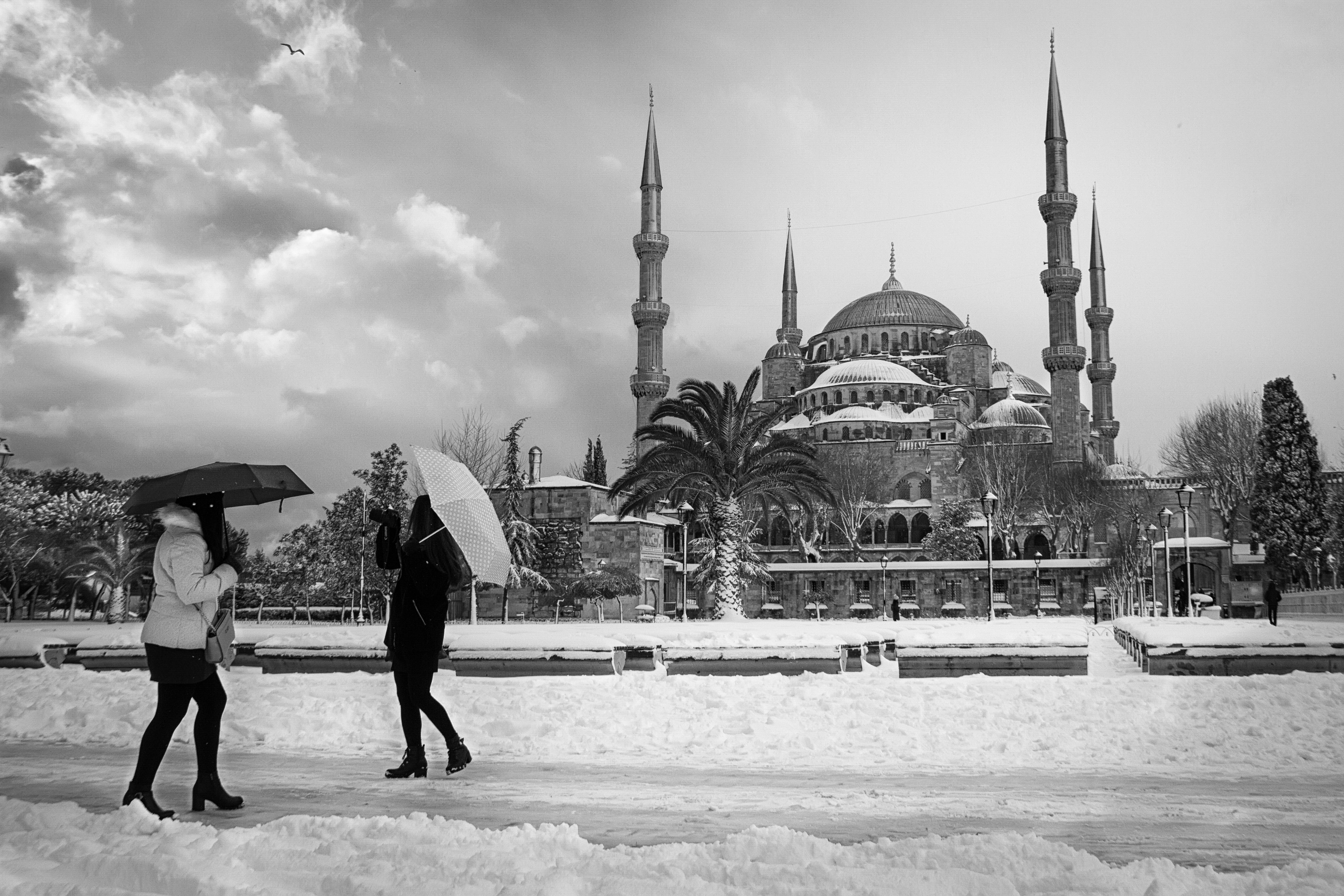 the beauty that comes with snow #23