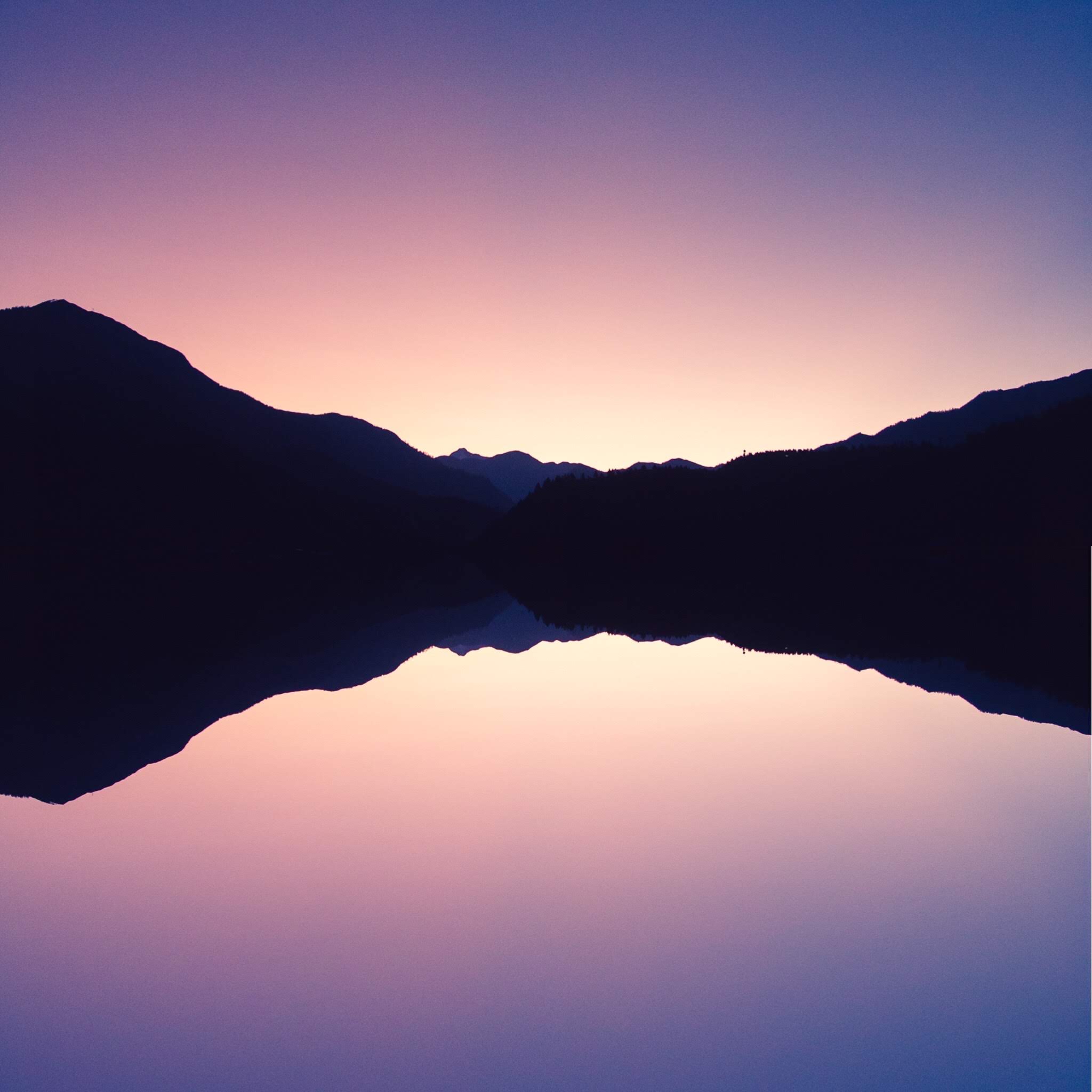 reflect