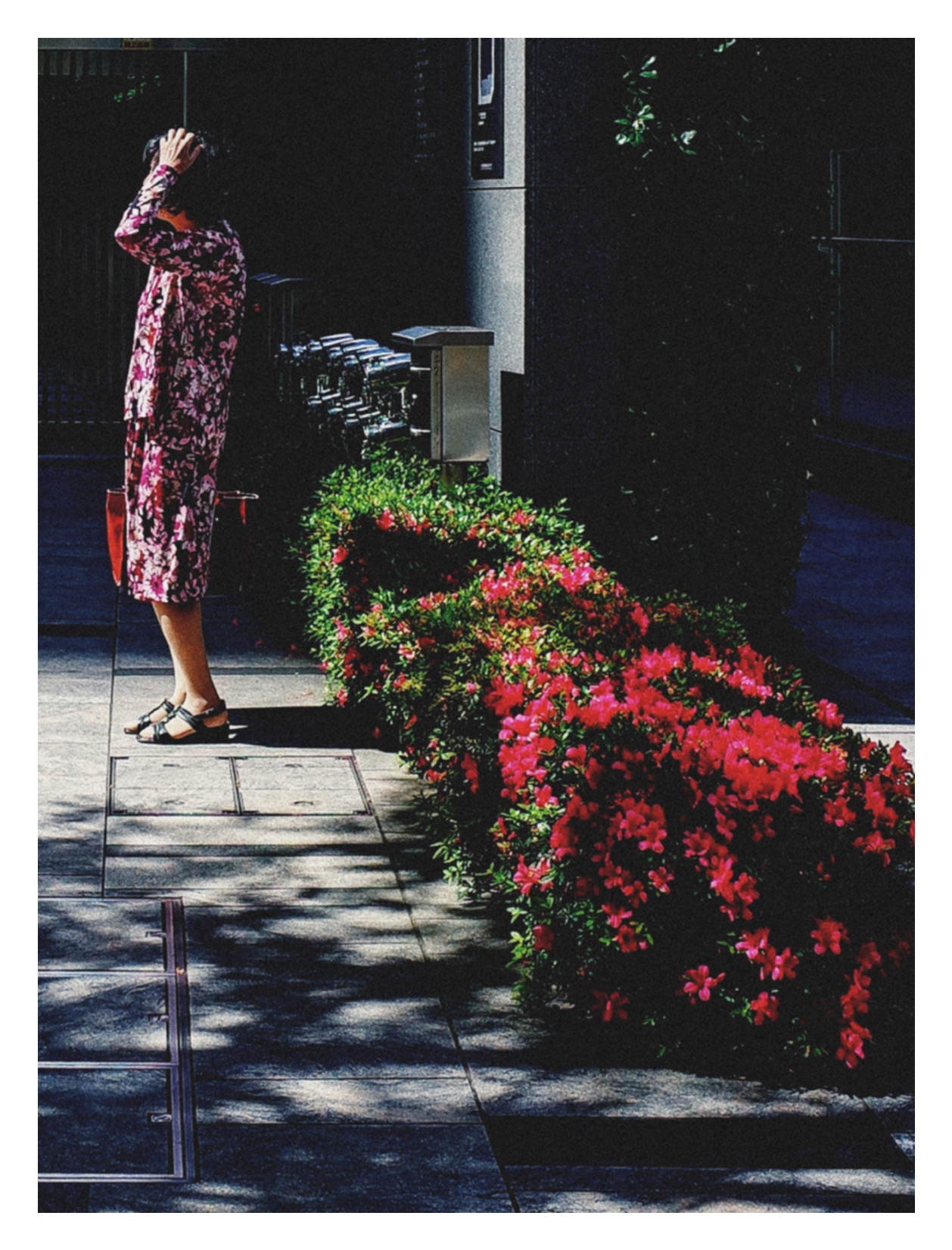 Banalography #017