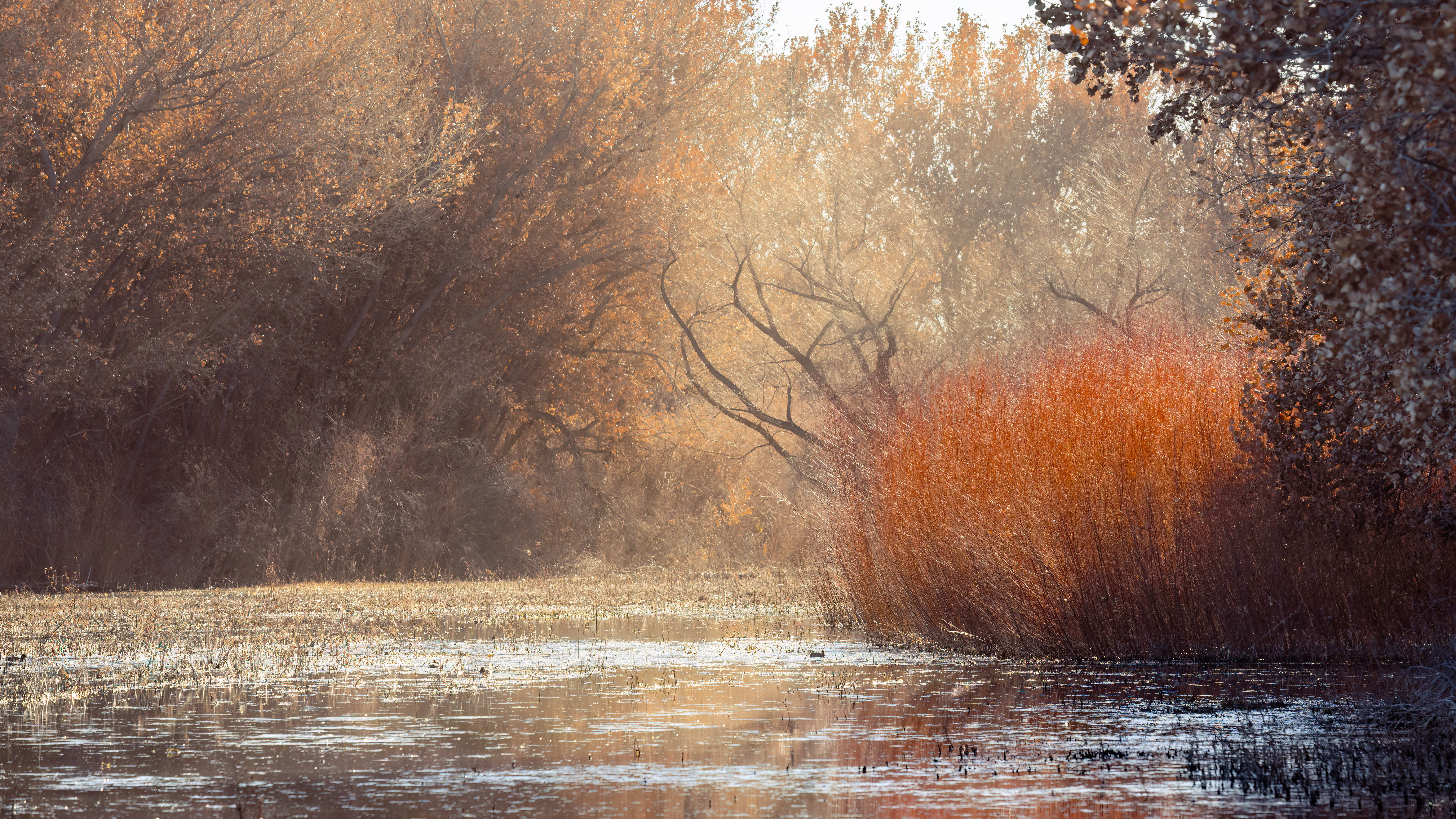 Apache Marsh
