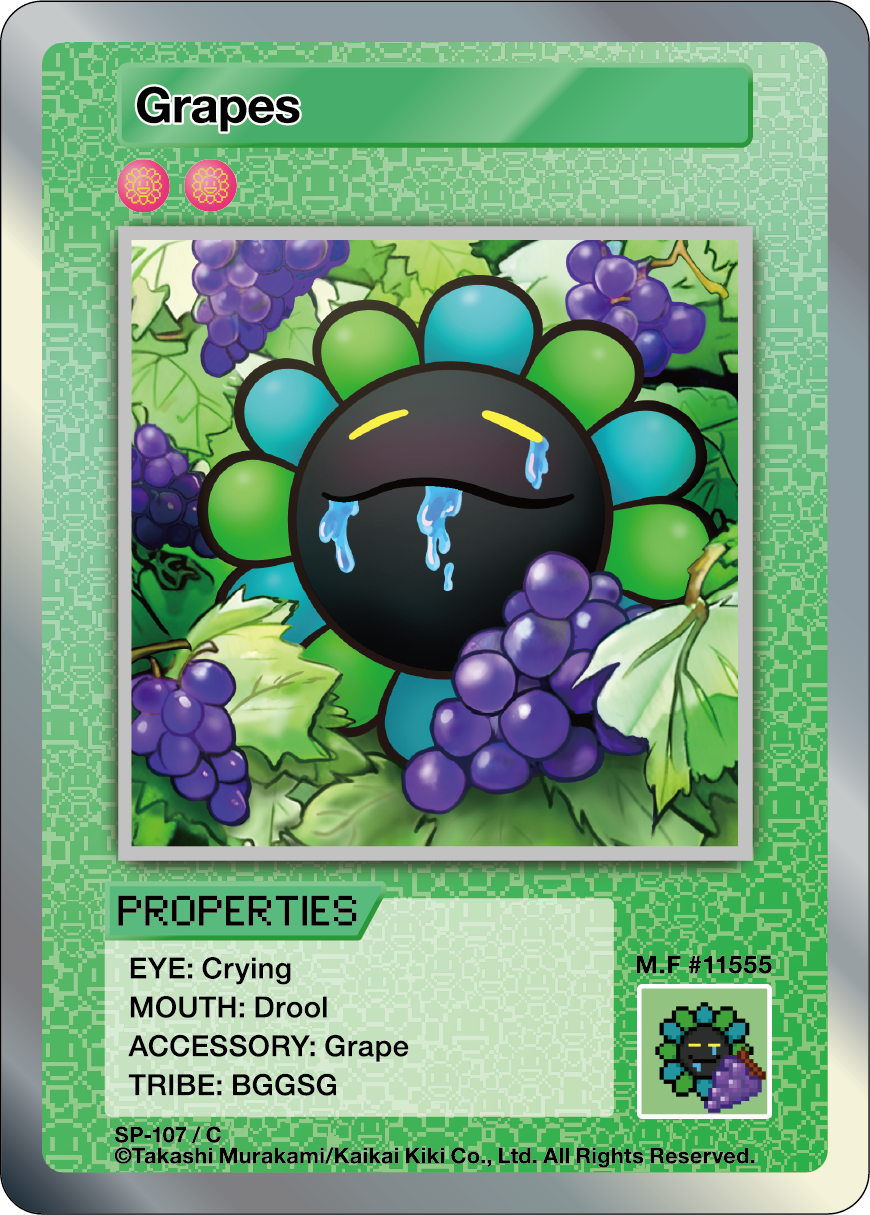 Grapes SP-107 EN