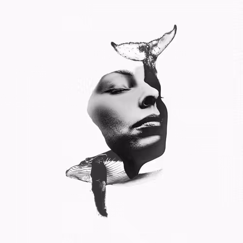 Collage N17