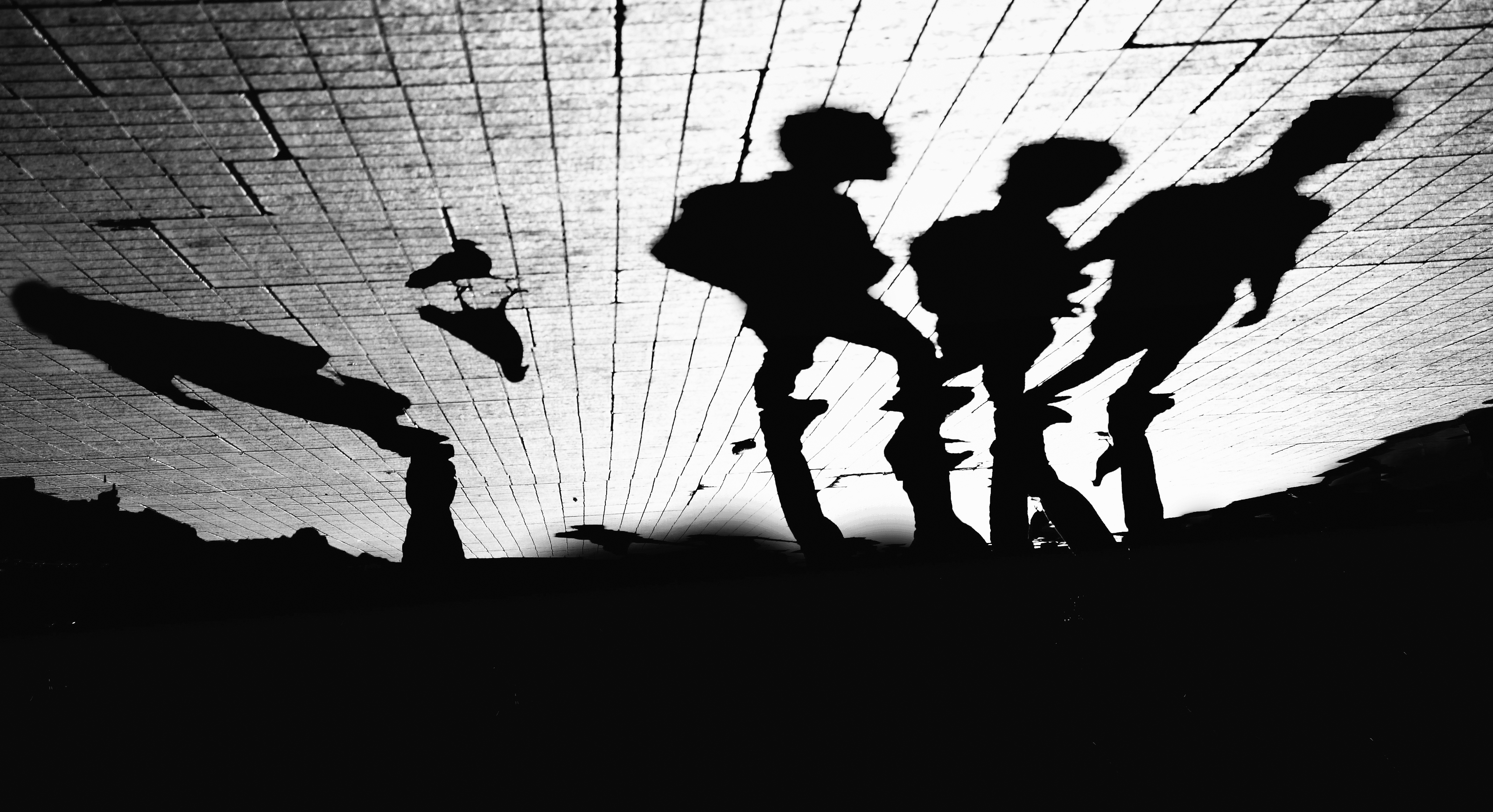 Shadows #8