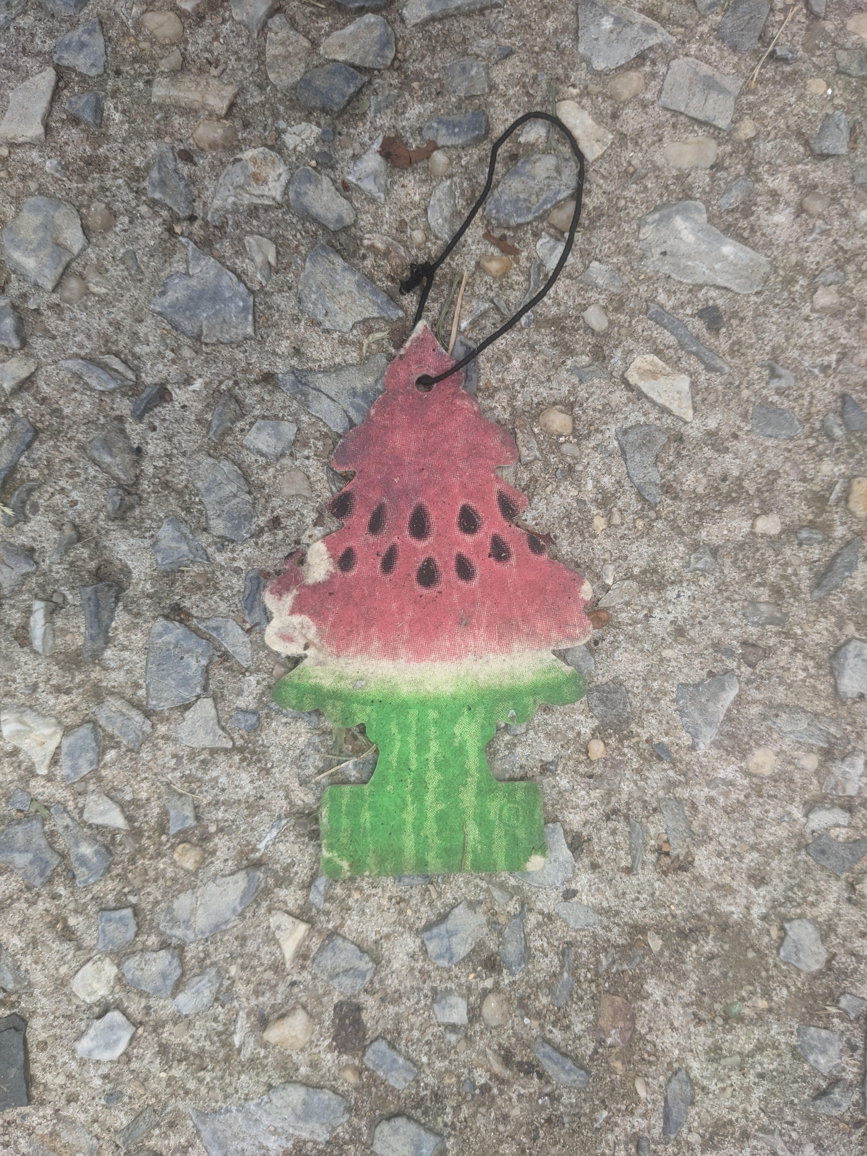 🍉