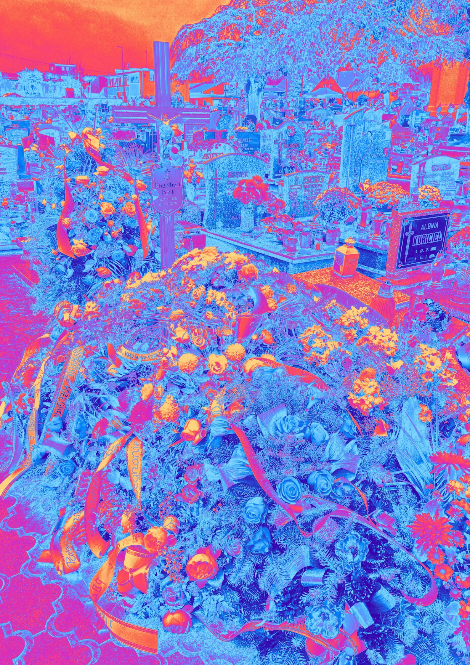 A Bed of roses #5